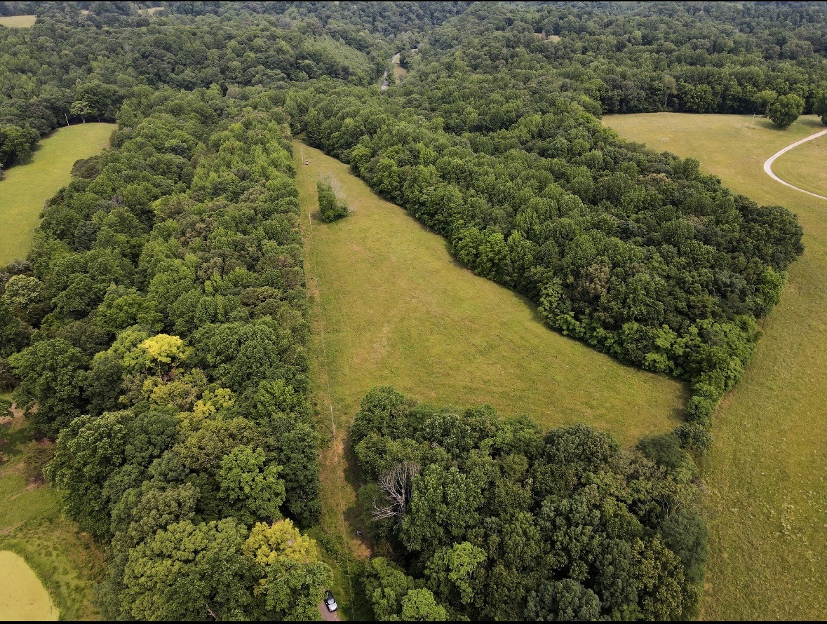 0 Pleasant Ridge Road Huntland, TN 37345 - Photo 9 of 20 a view of a lake and outdoor space