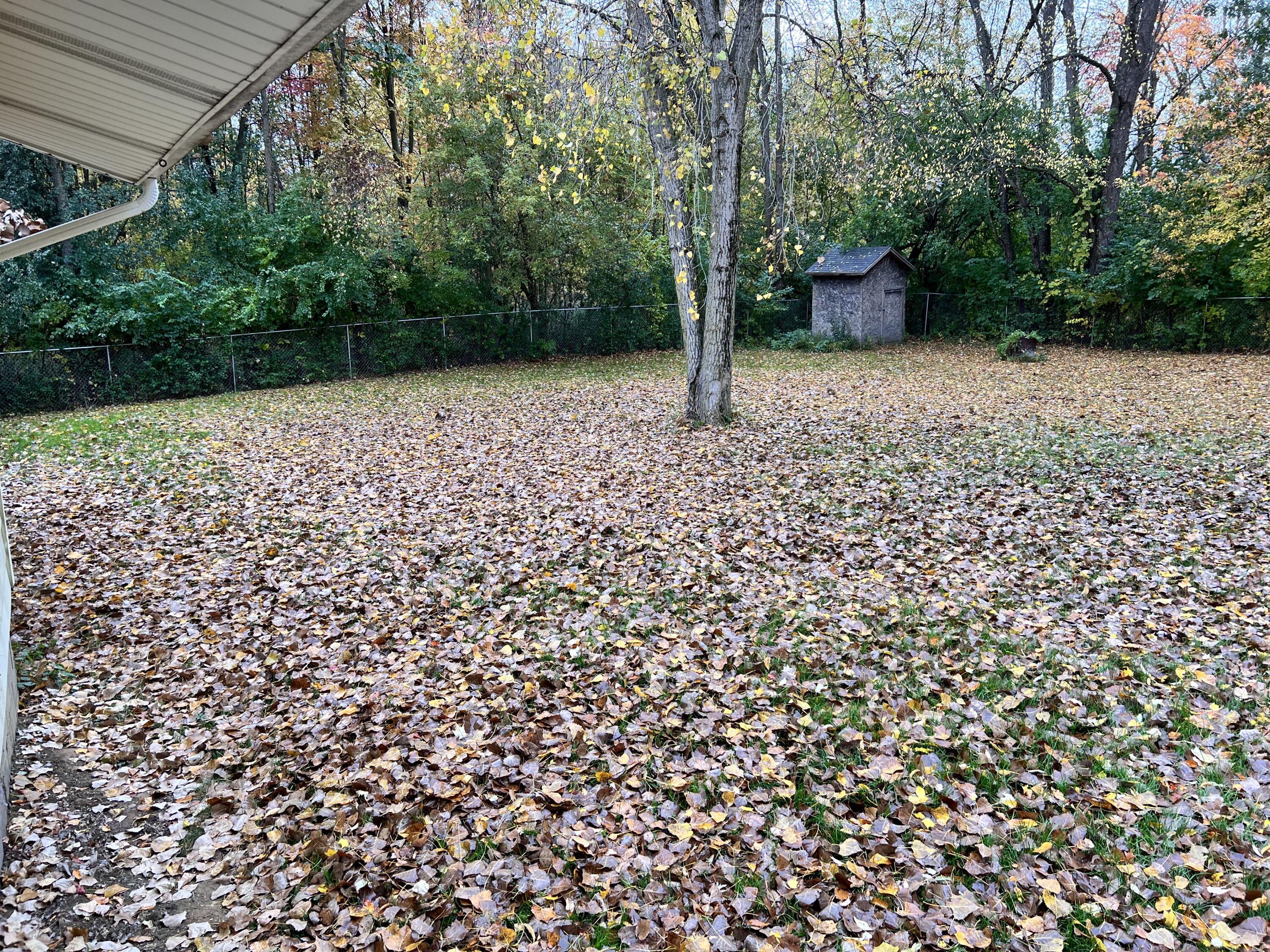 4594 Rives Junction Road Jackson, MI 49201 - Photo 24 of 31 IMG-8769