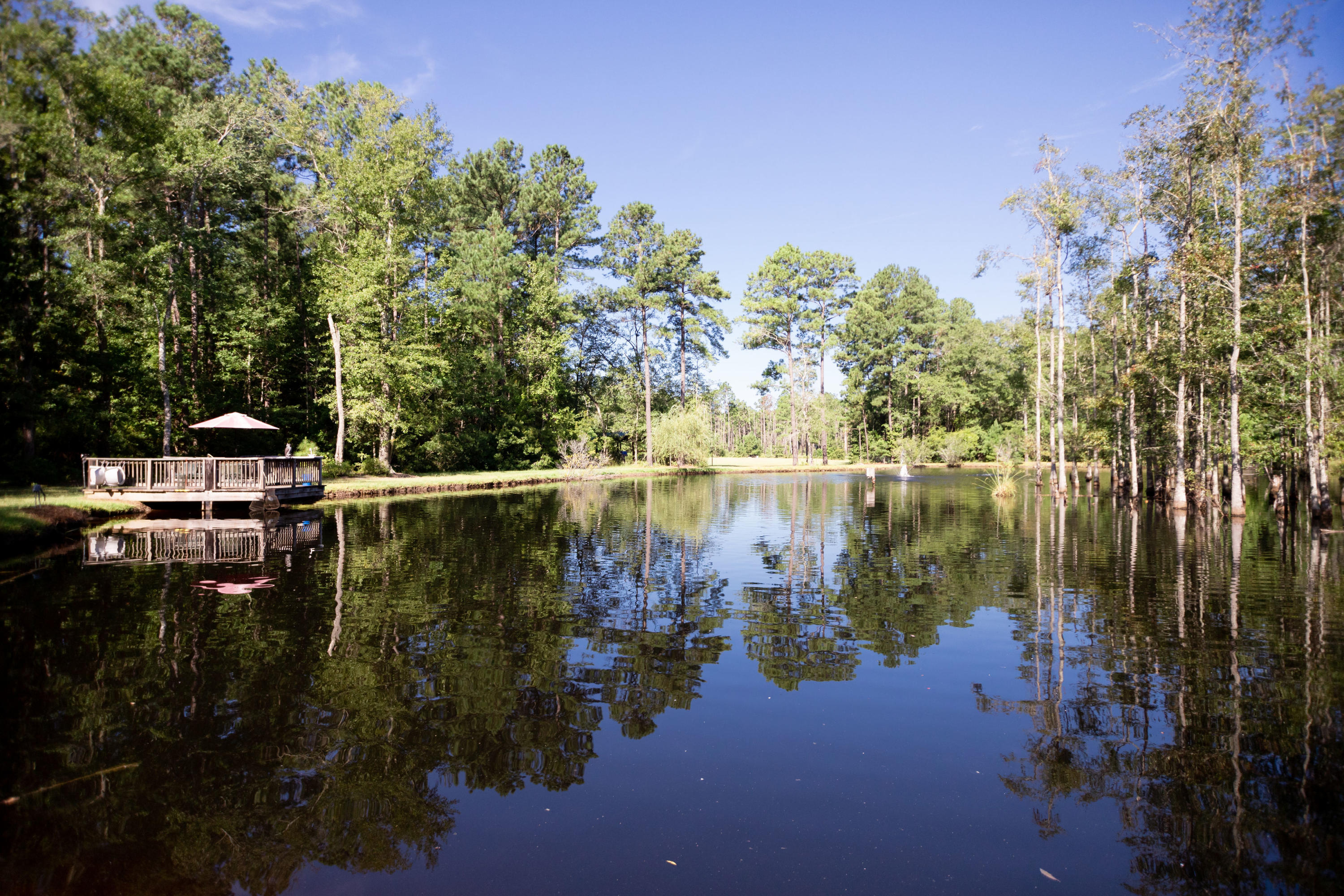 626 State Rd S-15-379 Walterboro, SC 29488 - Photo 64 of 67 IMG_6052