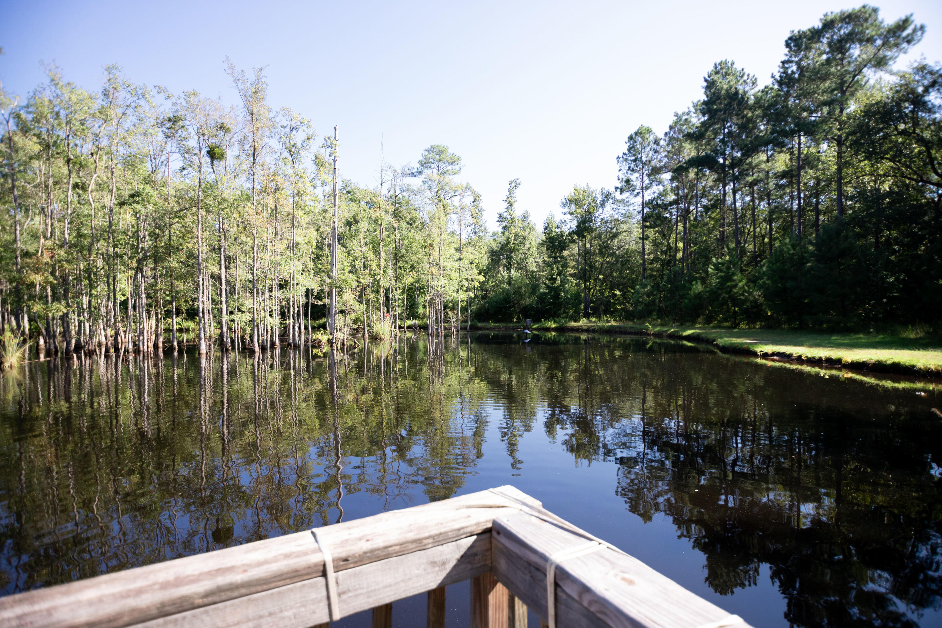 626 State Rd S-15-379 Walterboro, SC 29488 - Photo 65 of 67 IMG_6057
