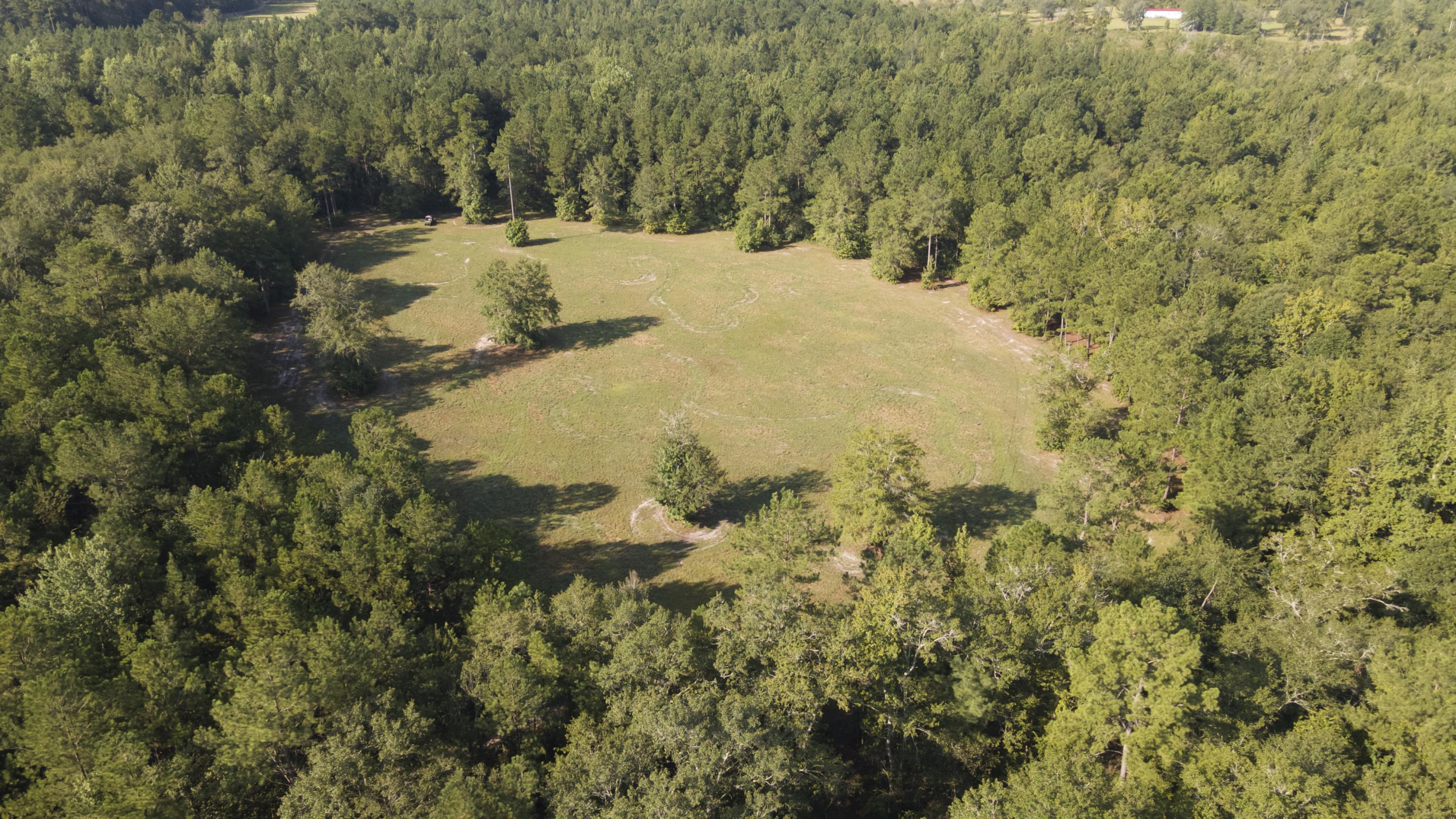 626 State Rd S-15-379 Walterboro, SC 29488 - Photo 67 of 67 DJI_0302 copy