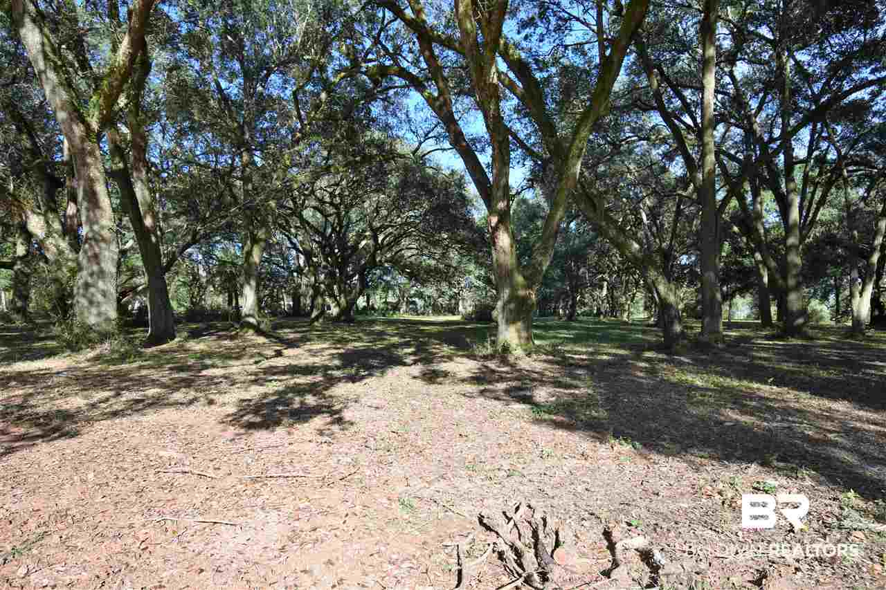 0 Mandrell Lane Fairhope, AL 36532 - Photo 3 of 4