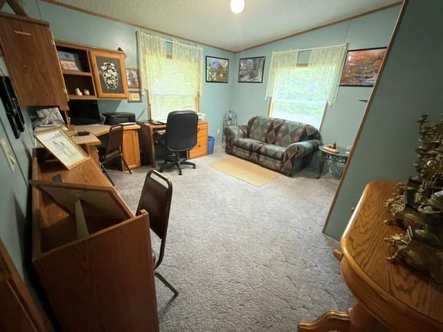 24353 Hines Road Northeast Hines, MN 56647 - Photo 16 of 22