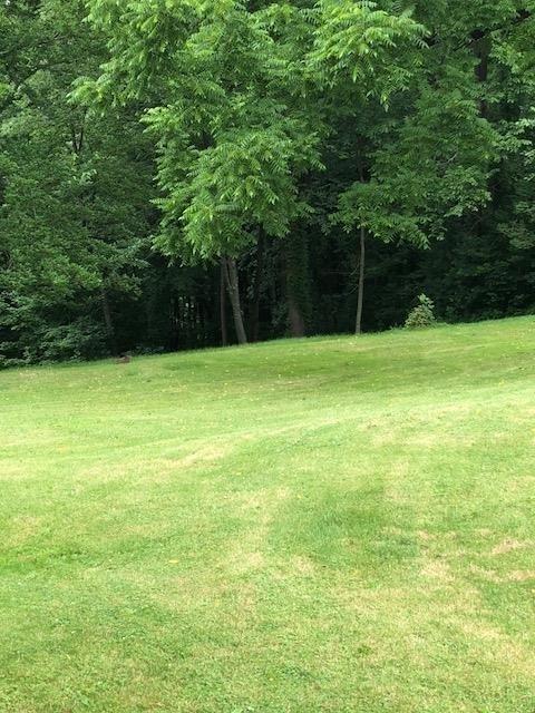 89 Devils Den Road Burgettstown, PA 15021 - Photo 10 of 14 Gallery Image 10