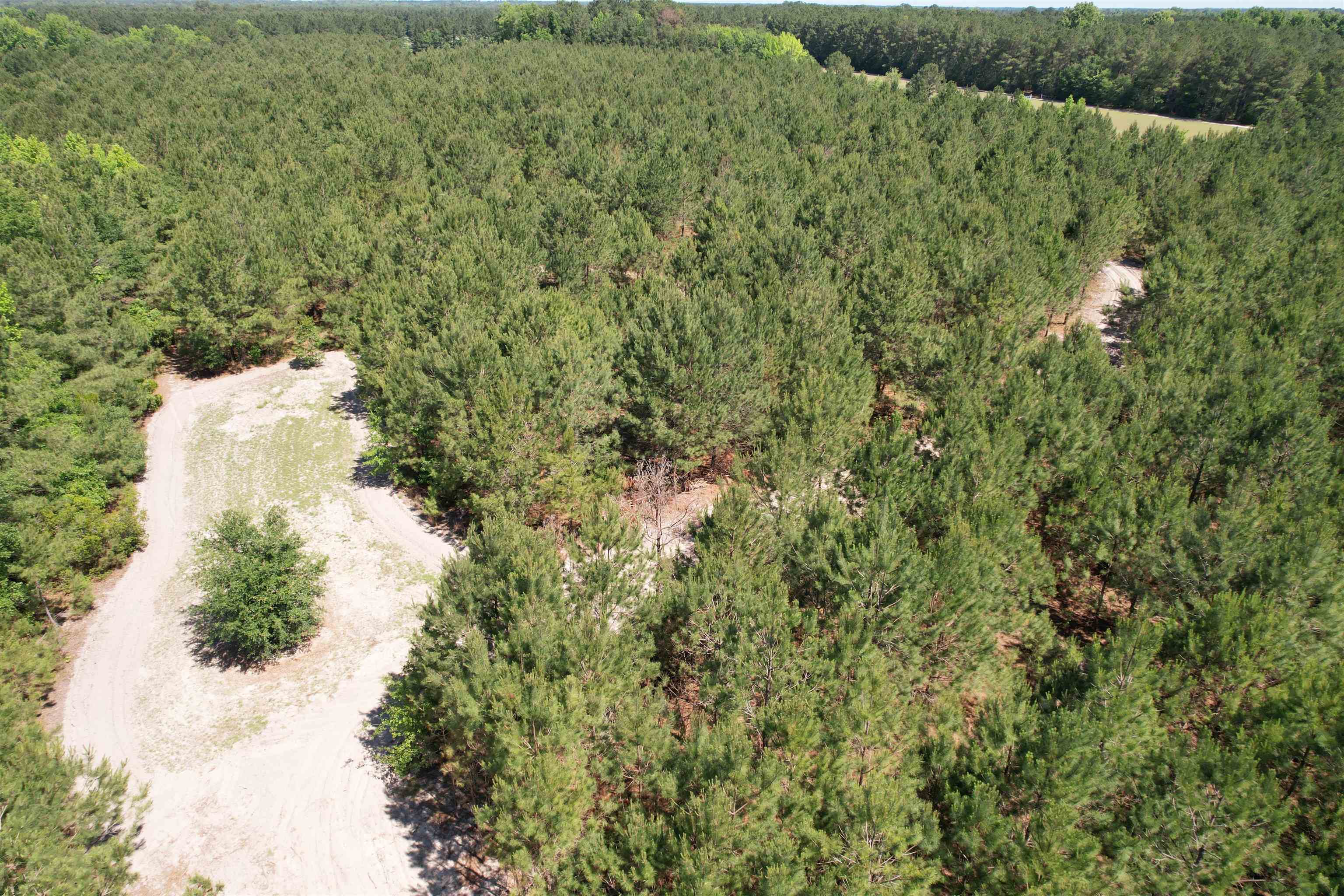5432 June Burn Road Manning, SC 29102 - Photo 26 of 32