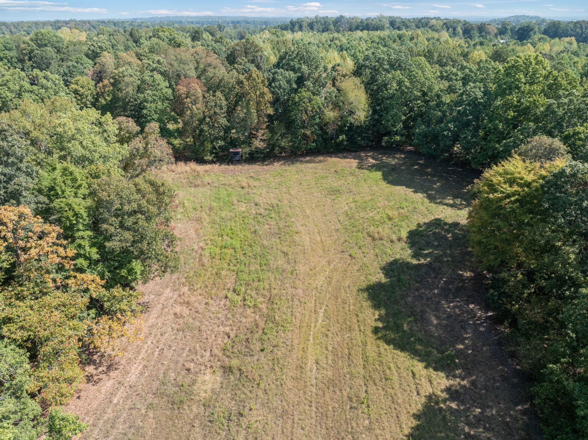3379 Old Stage Road Decaturville, TN 38329 - Photo 40 of 47 Gallery Image 40