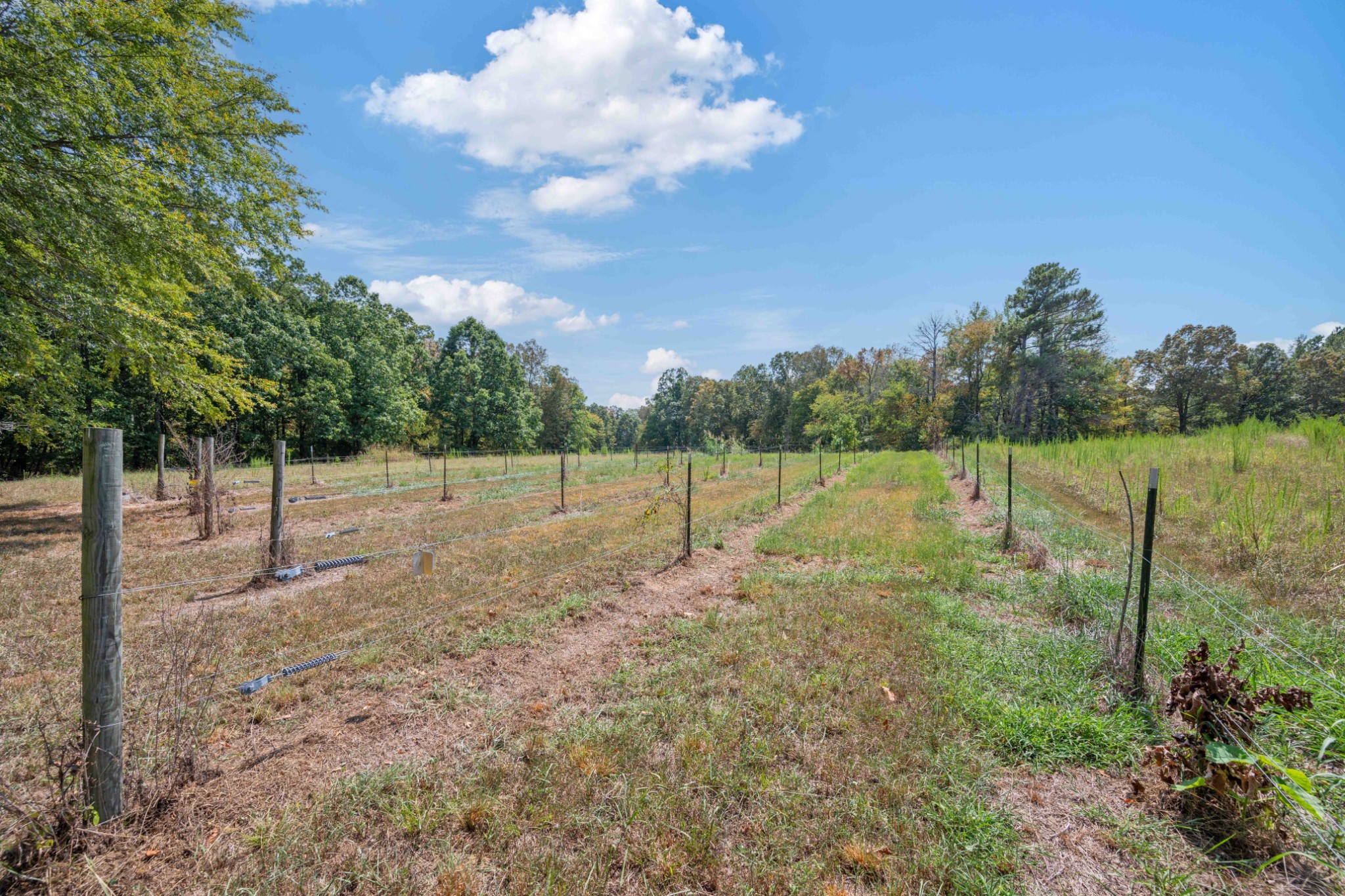 3379 Old Stage Road Decaturville, TN 38329 - Photo 45 of 47 Gallery Image 45
