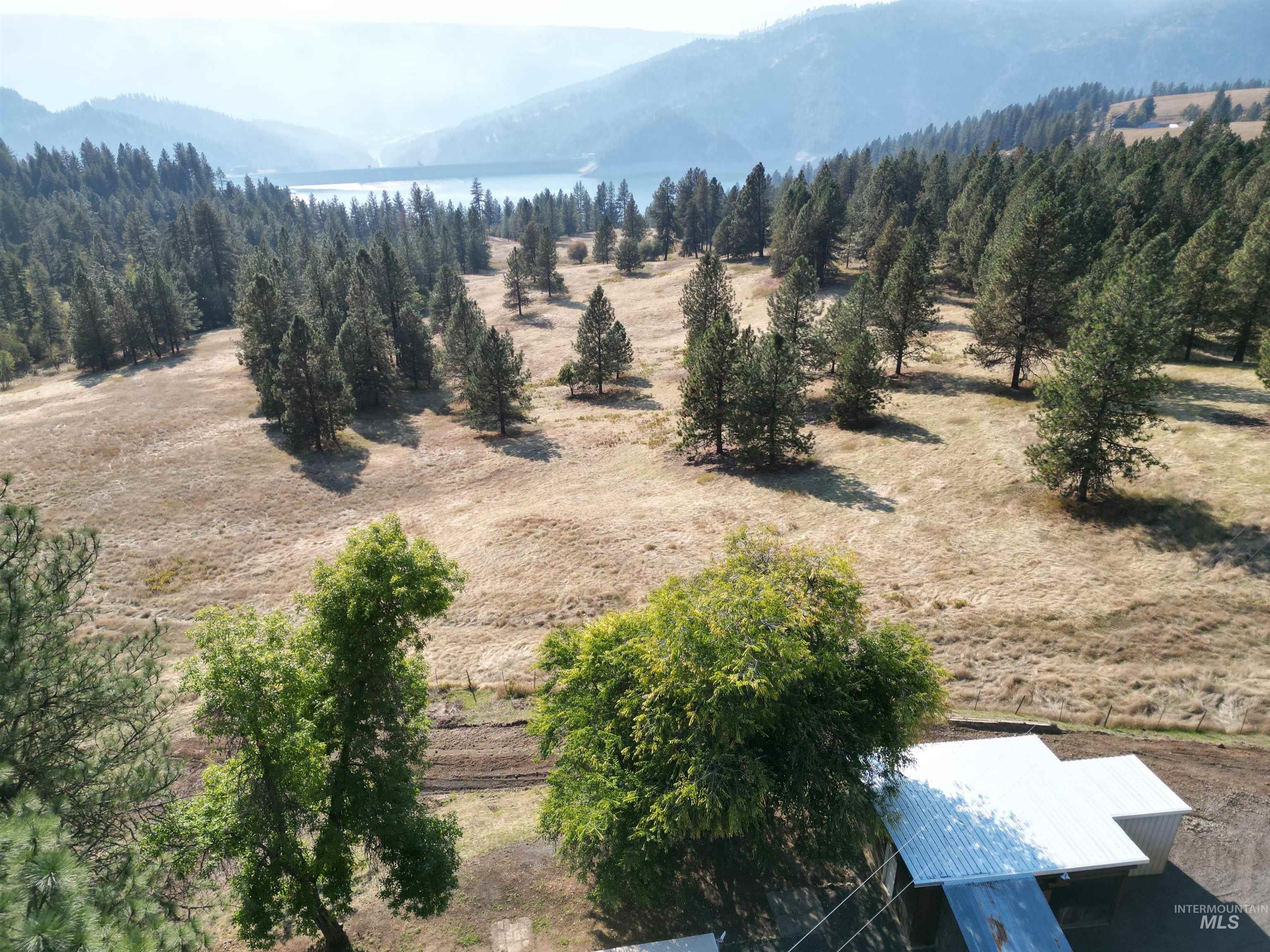 4099 Lakeview Road Orofino, ID 83544 - Photo 41 of 41 Expansive natural landscape with scattered trees, mountainous terrain, and a distant body of water