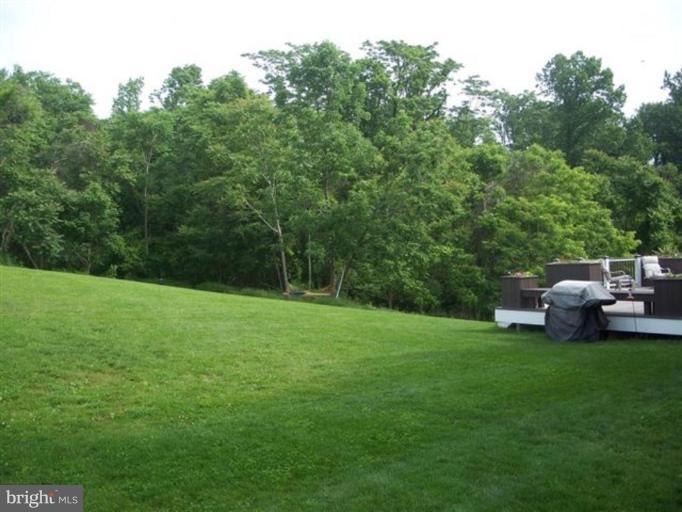 203 Fantasia Road Inwood, WV 25428 - Photo 30 of 30 Back yard