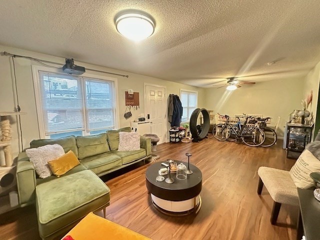 113 Harvard Street, Unit 1 Everett, MA 02149 - Photo 14 of 24 a living room with furniture and a large window