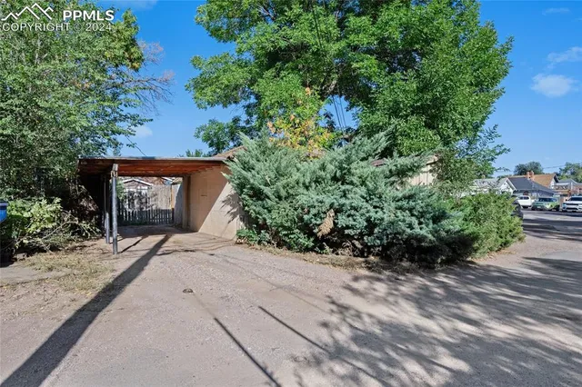 a wooden bench with some trees