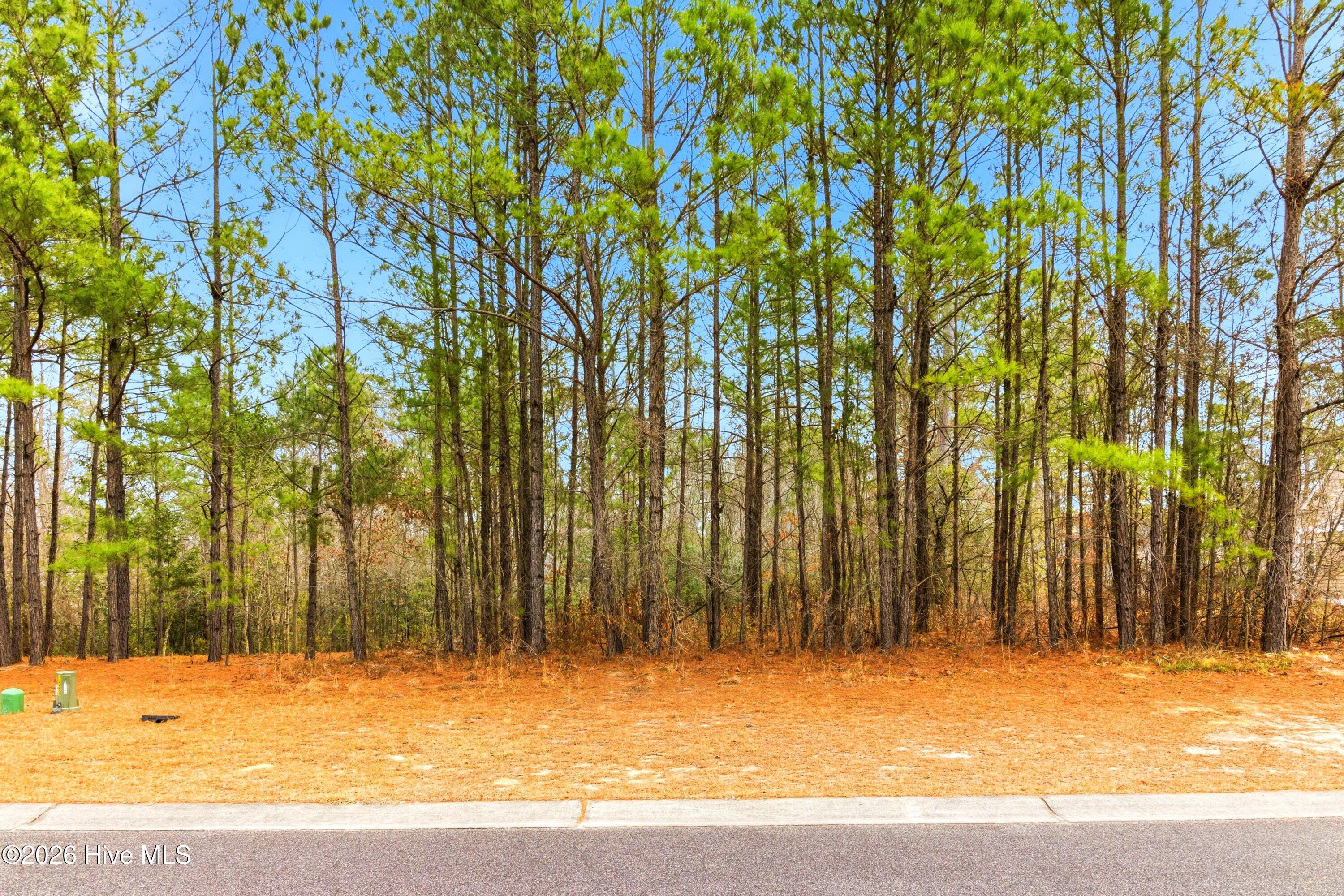 3772 Silver Melon Road Northeast Leland, NC 28451 - Photo 11 of 62 Picture 7