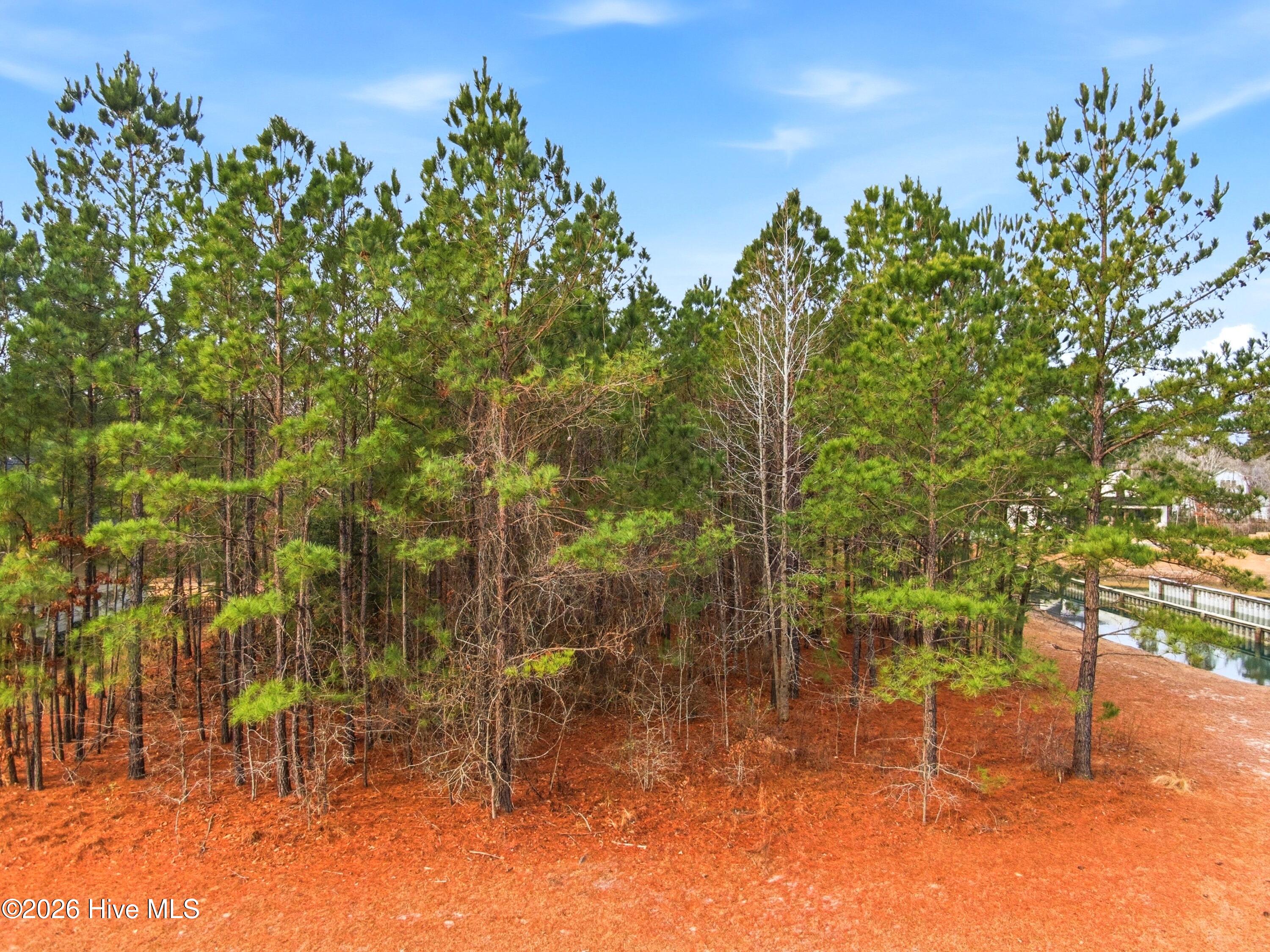 3772 Silver Melon Road Northeast Leland, NC 28451 - Photo 22 of 62 Picture 18