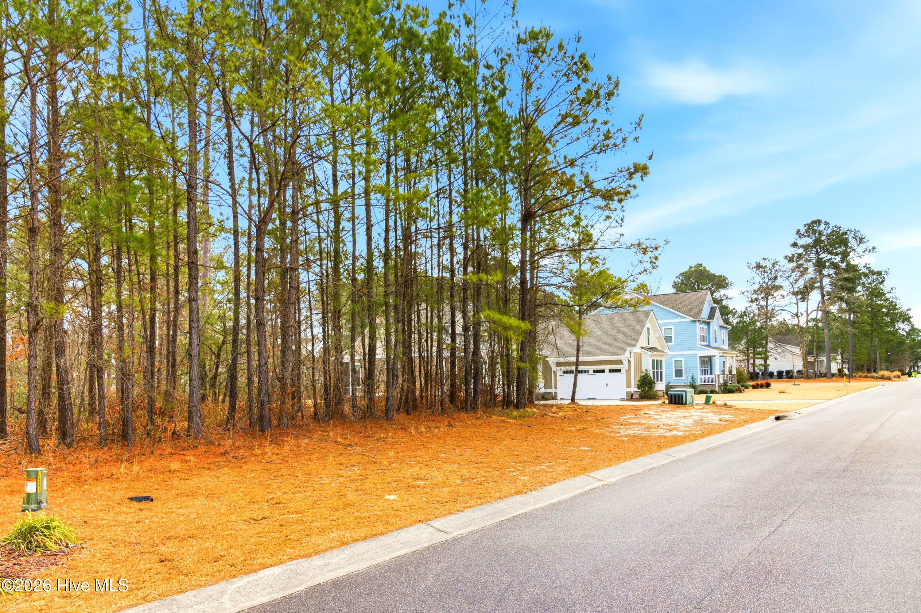 3772 Silver Melon Road Northeast Leland, NC 28451 - Photo 3 of 62 Picture 3