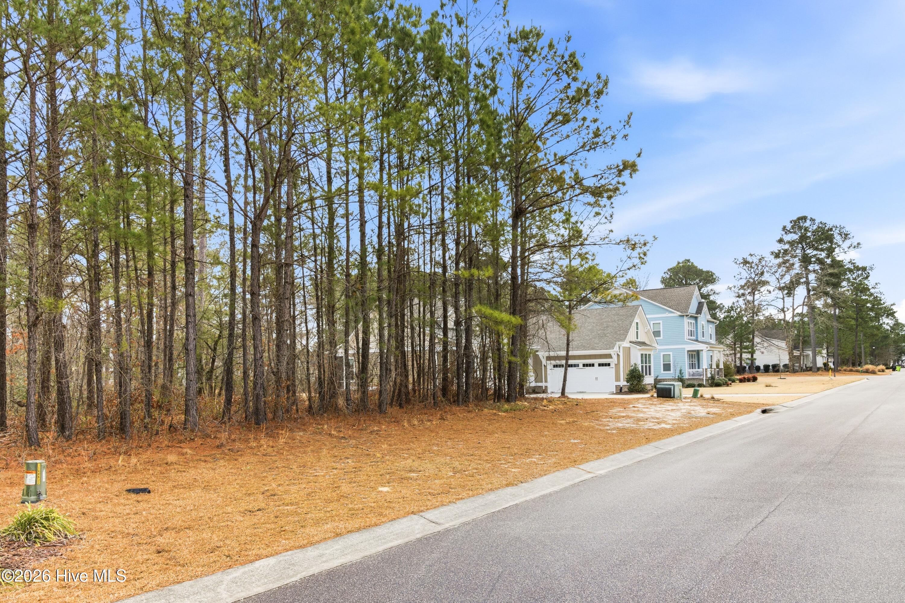 3772 Silver Melon Road Northeast Leland, NC 28451 - Photo 4 of 38 002_3772_silver_melon_road-02_242