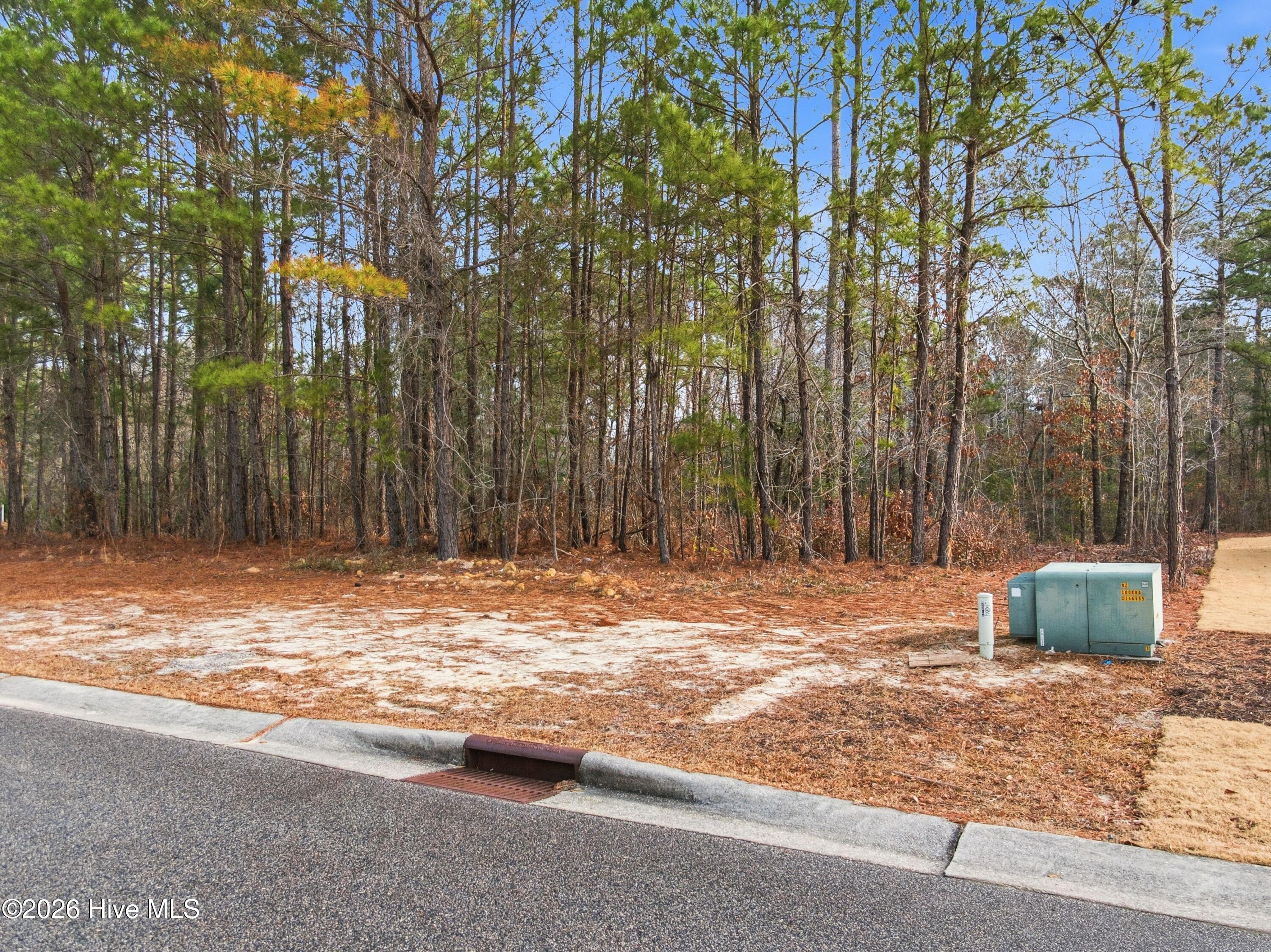 3772 Silver Melon Road Northeast Leland, NC 28451 - Photo 49 of 62 011_3772_silver_melon_road-04_223