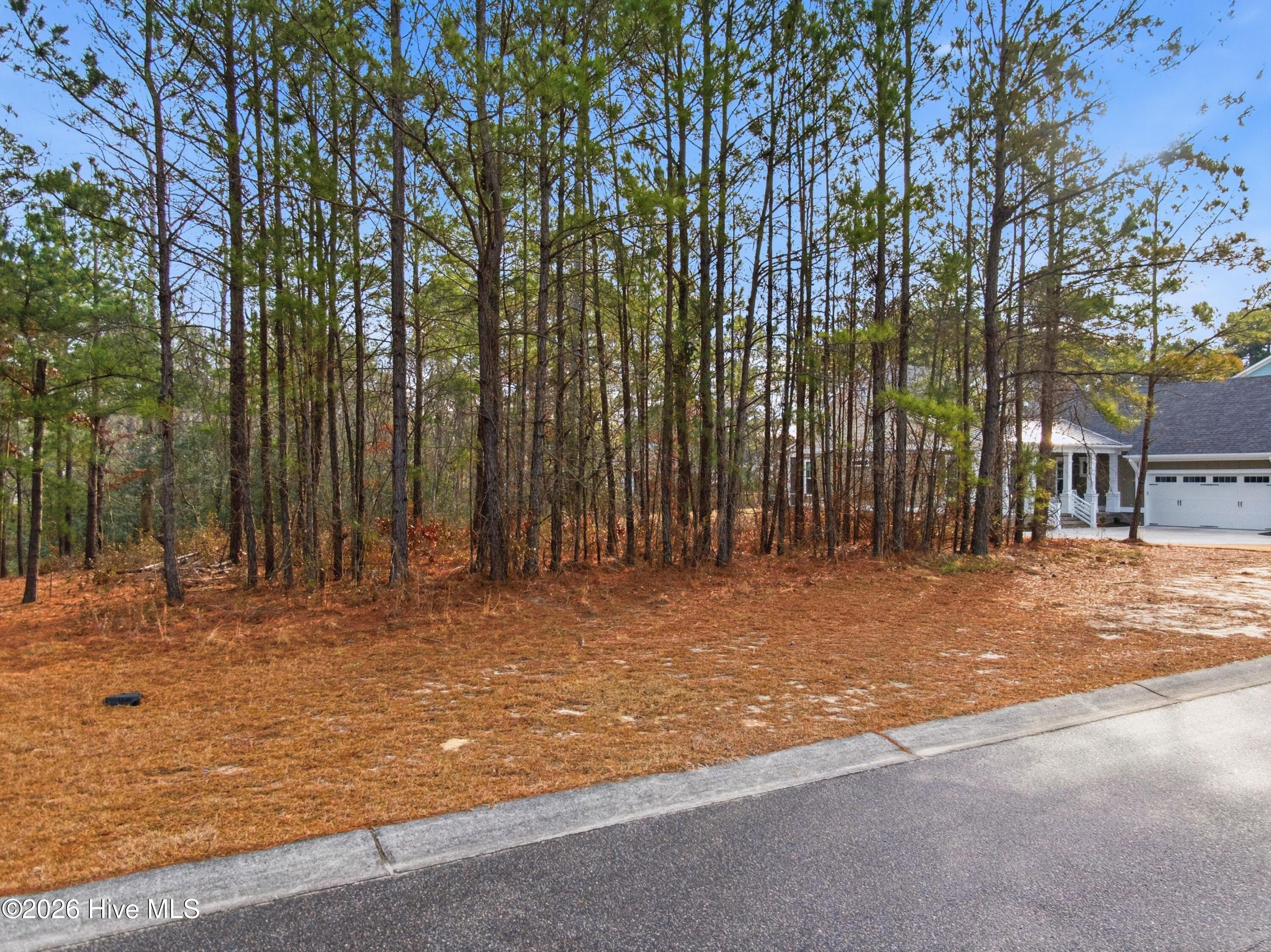 3772 Silver Melon Road Northeast Leland, NC 28451 - Photo 50 of 62 012_3772_silver_melon_road-05_619