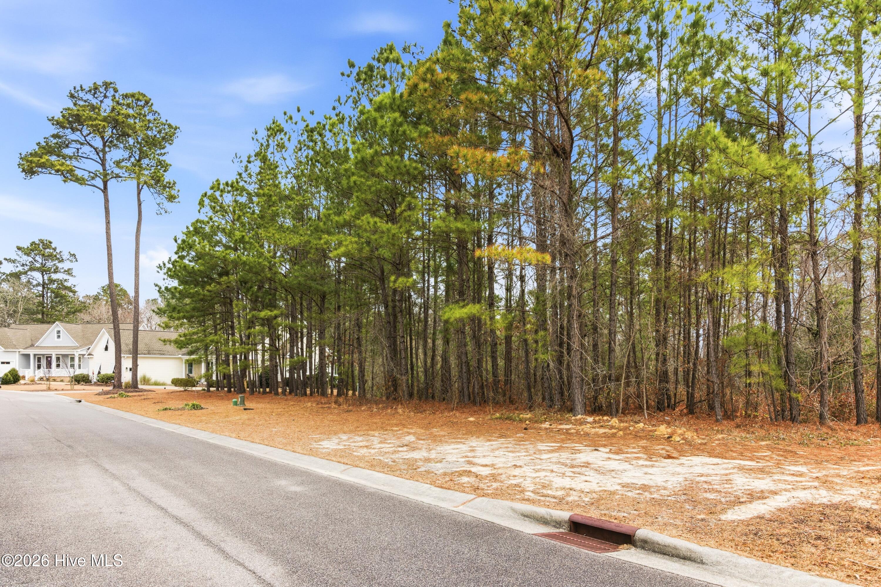 3772 Silver Melon Road Northeast Leland, NC 28451 - Photo 5 of 38 003_3772_silver_melon_road-03_611