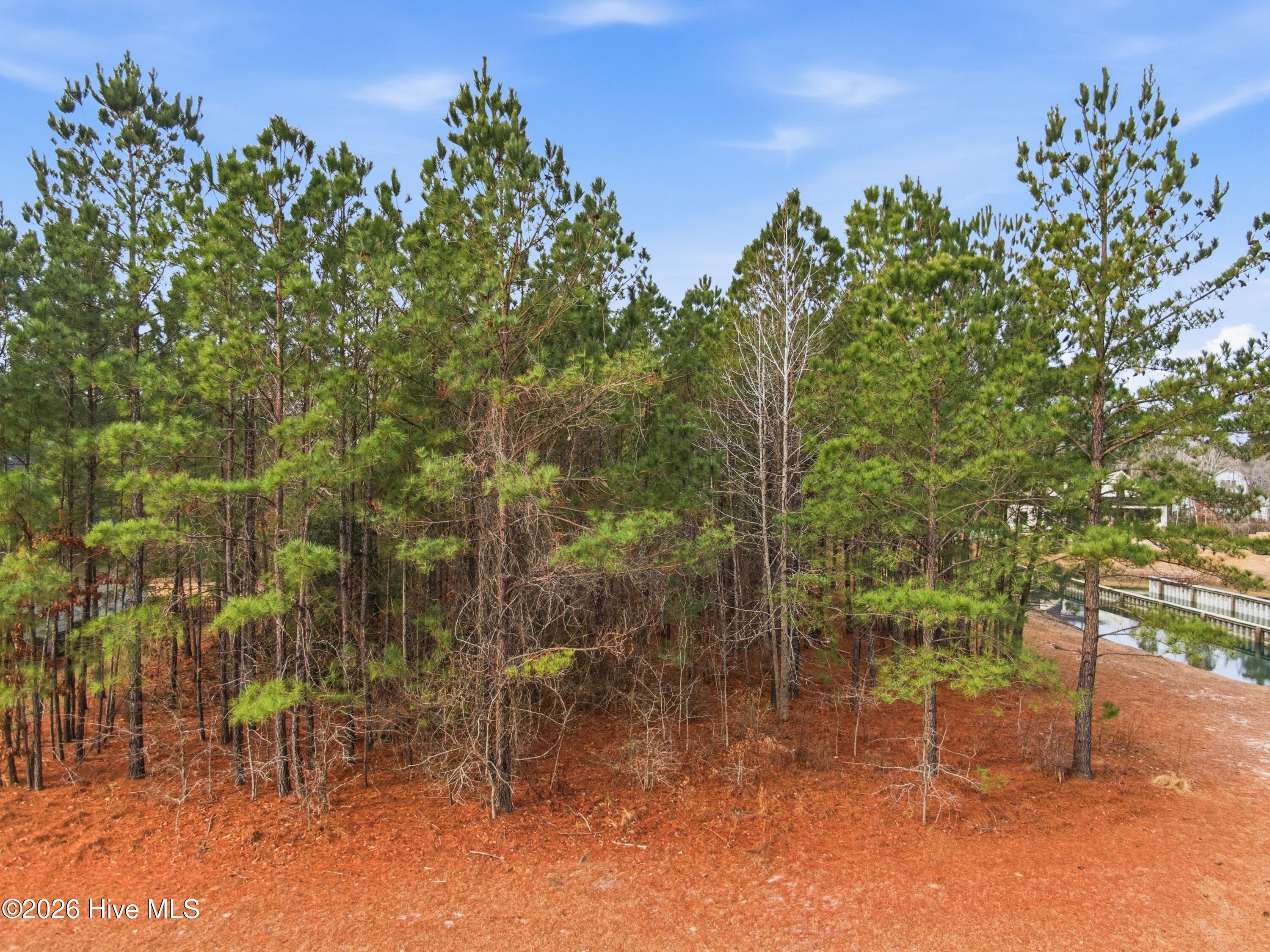 3772 Silver Melon Road Northeast Leland, NC 28451 - Photo 61 of 62 025_3772_silver_melon_road-18_413