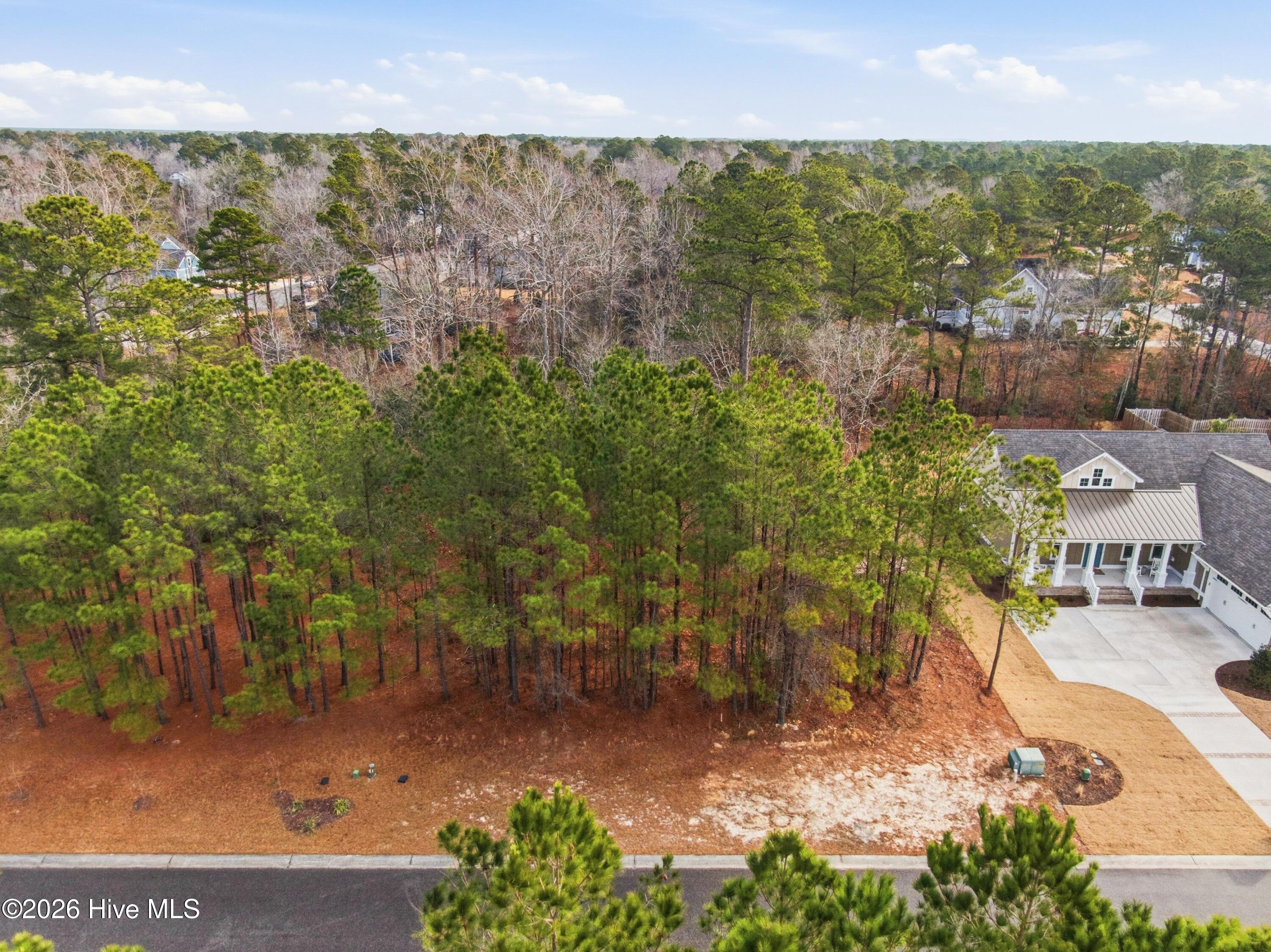 3772 Silver Melon Road Northeast Leland, NC 28451 - Photo 7 of 38 006_3772_silver_melon_road-06_49