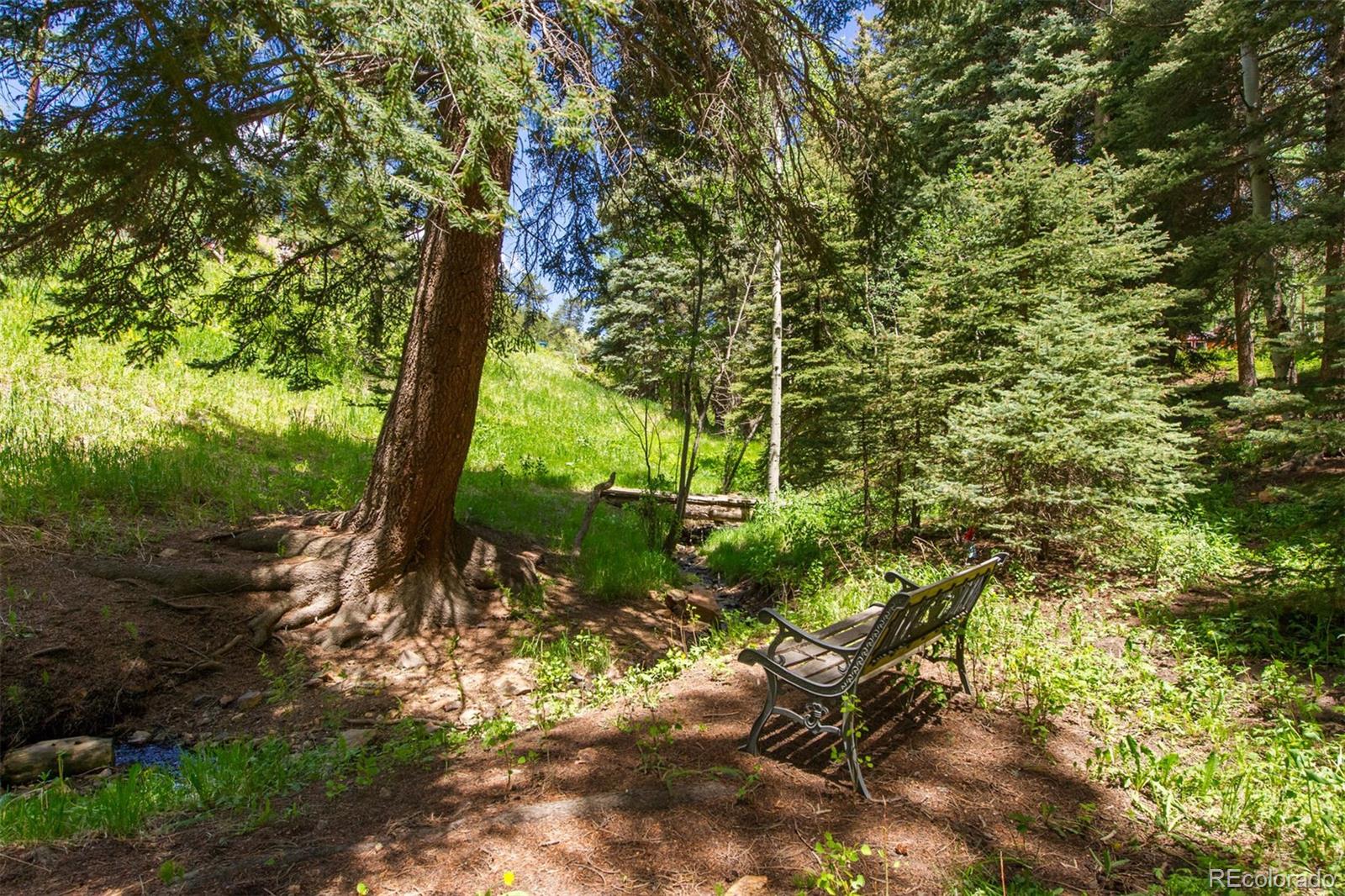 23994 Running Deer Road Conifer, CO 80433 - Photo 26 of 34 a view of outdoor space and yard