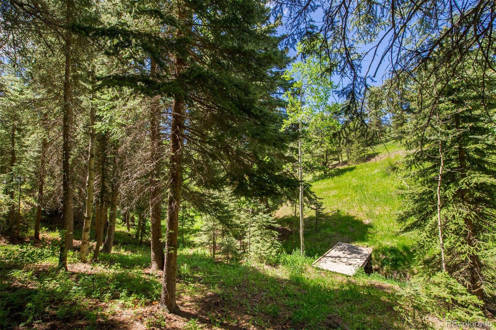 23994 Running Deer Road Conifer, CO 80433 - Photo 33 of 34 a backyard of a house with lots of trees