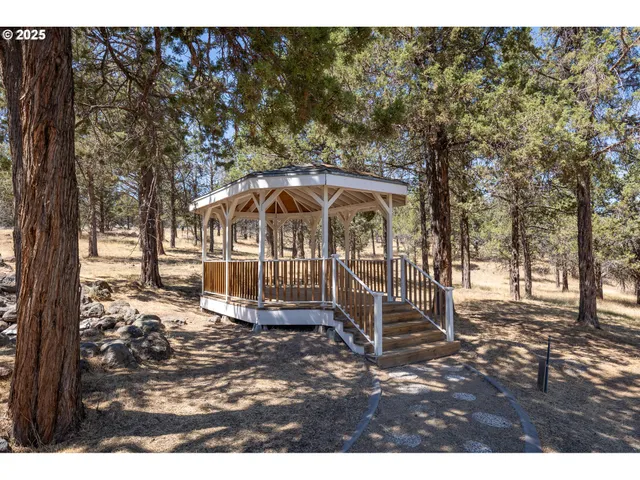 a view of outdoor space yard and patio