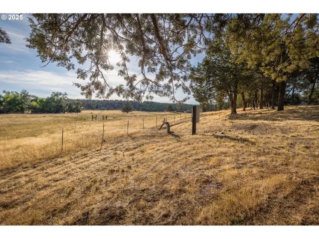 a view of an ocean beach