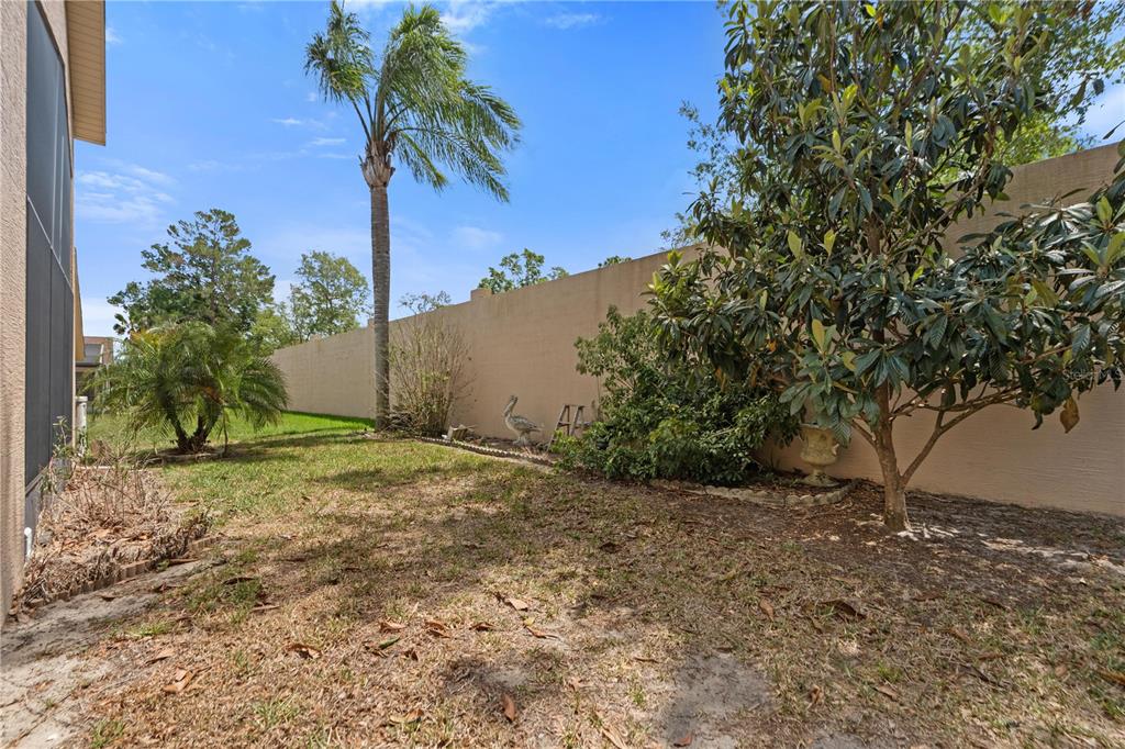 9224 Halberg Drive Hudson, FL 34669 - Photo 27 of 31 a view of a backyard