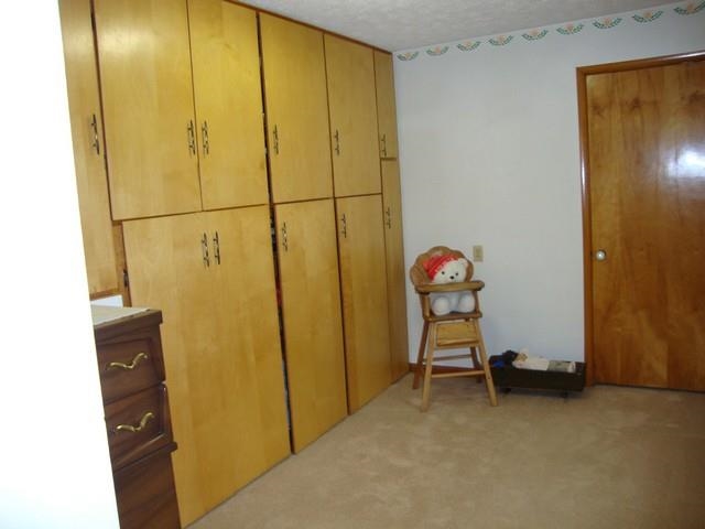 1313 Riley Road New Castle, IN 47362 - Photo 8 of 16 Gallery Image 8