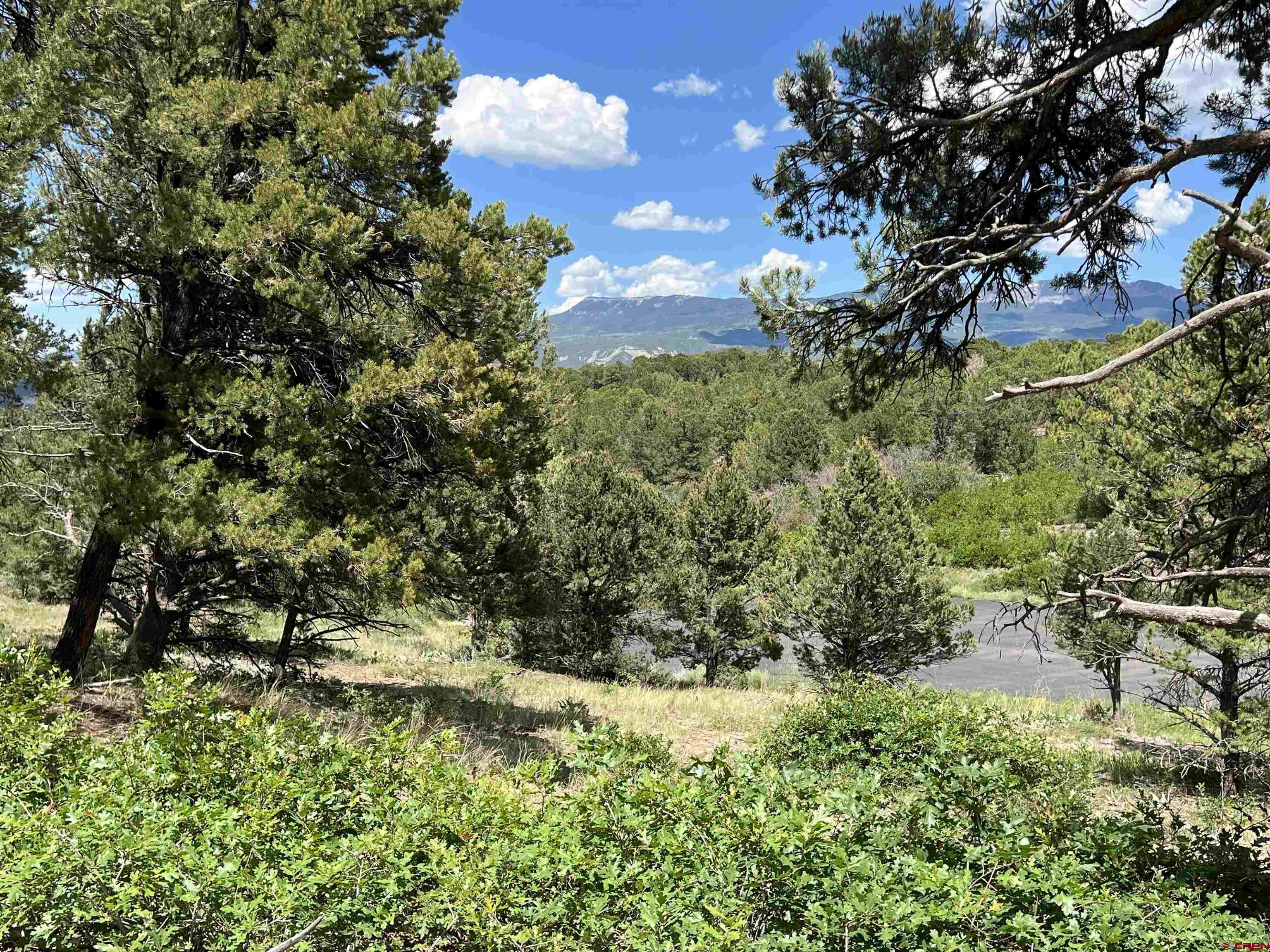 Lot 9 Pointe Escape Drive Ridgway, CO 81432 - Photo 11 of 33