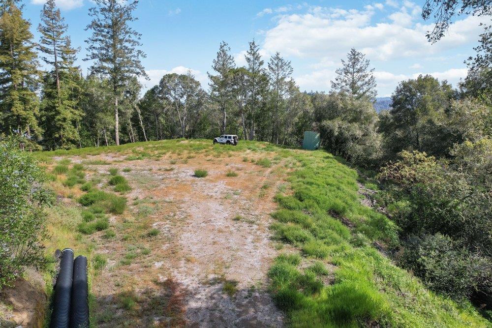 1003 Laurel Glen Road Soquel, CA 95073 - Photo 85 of 115 a view of a yard with plants and trees