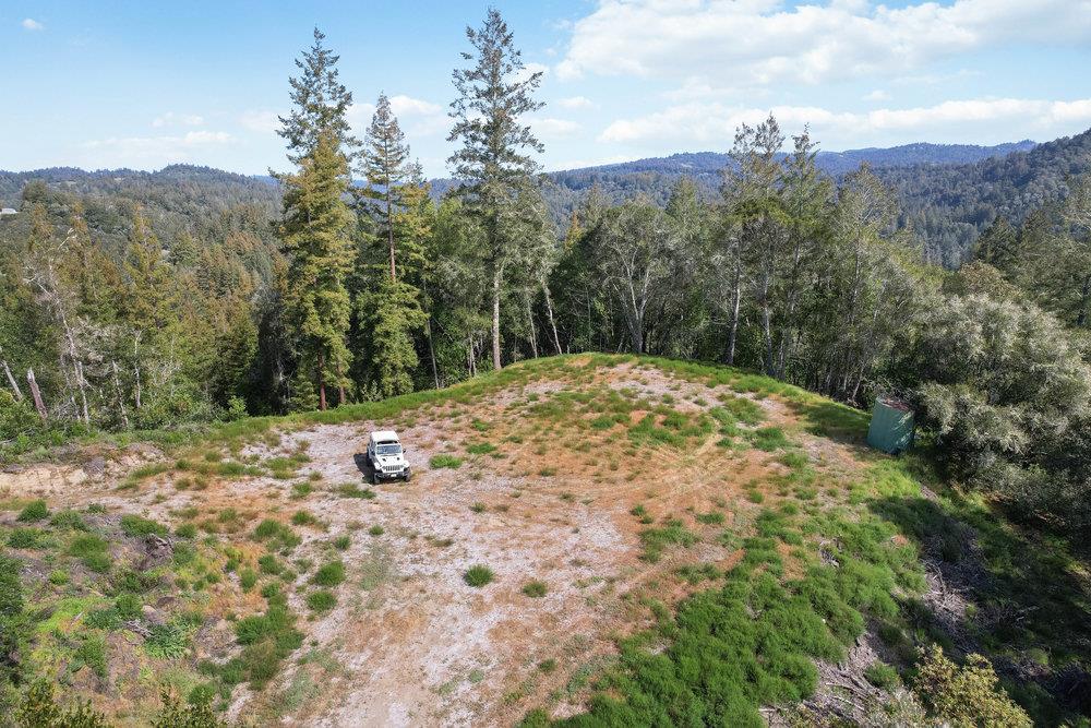 1003 Laurel Glen Road Soquel, CA 95073 - Photo 87 of 115 a view of a yard with a tree