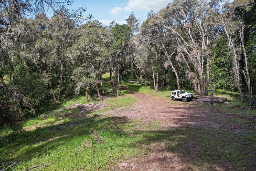 1003 Laurel Glen Road Soquel, CA 95073 - Photo 92 of 115 a view of a tree in a park