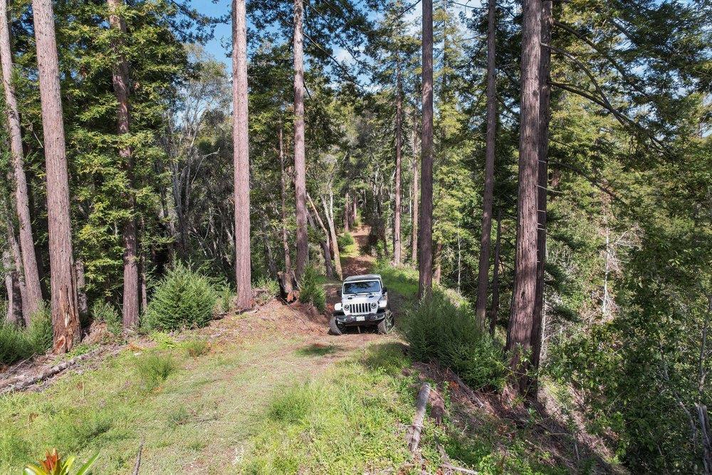 1003 Laurel Glen Road Soquel, CA 95073 - Photo 94 of 115