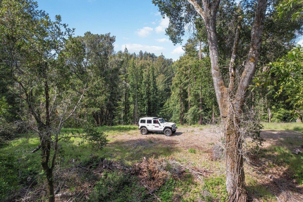 1003 Laurel Glen Road Soquel, CA 95073 - Photo 98 of 115 a view of a yard with a tree