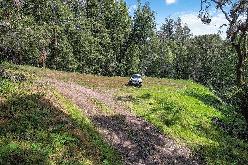1003 Laurel Glen Road Soquel, CA 95073 - Photo 100 of 115 a view of a yard with a tree