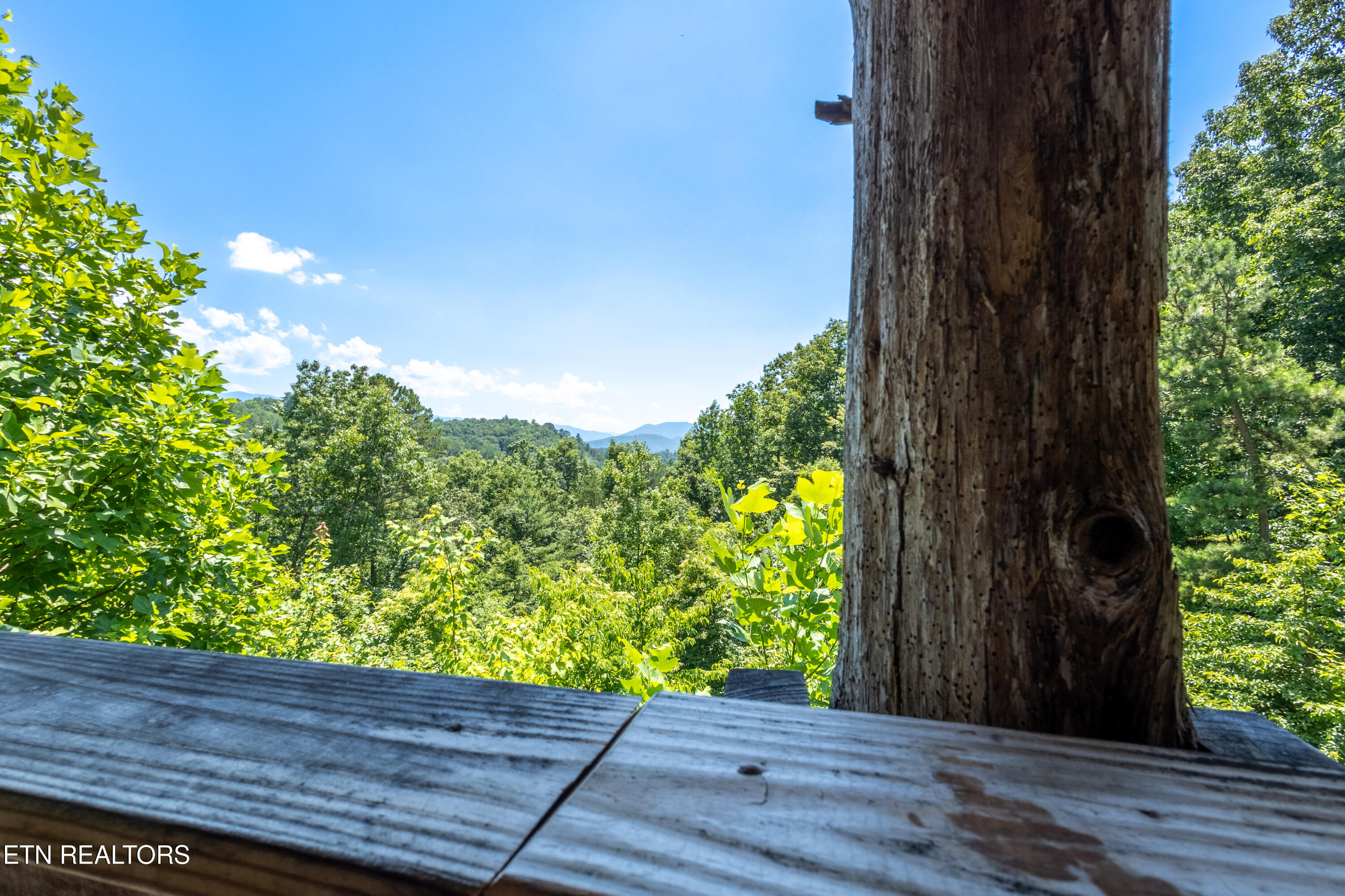 3 R Wears Valley Road Pigeon Forge, TN 37863 - Photo 18 of 38 21