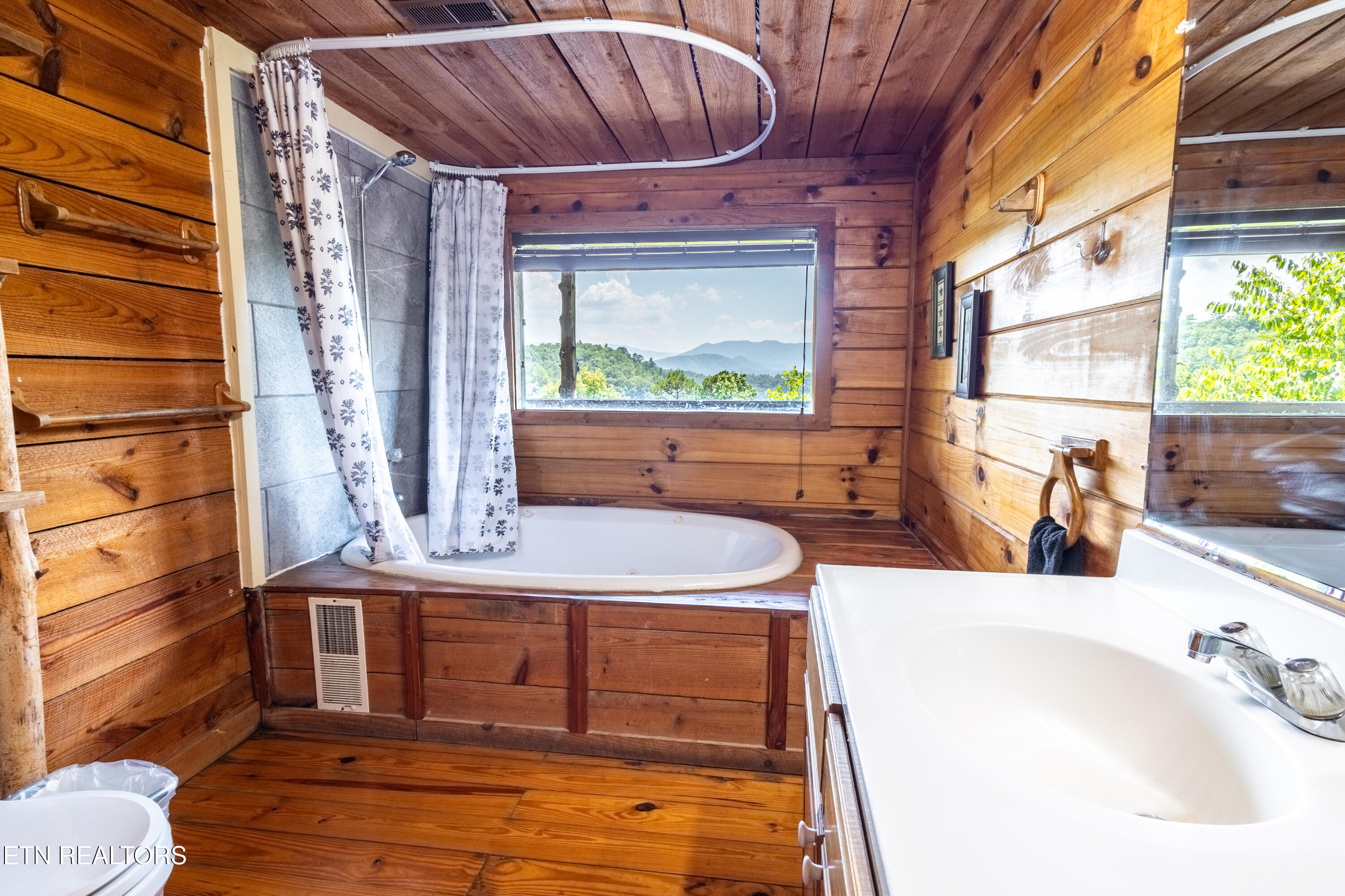 3 R Wears Valley Road Pigeon Forge, TN 37863 - Photo 5 of 38 13