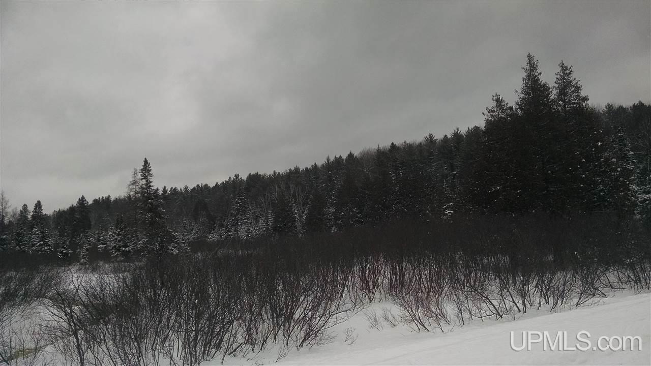 74 A Co Road Wetmore, MI 49895 - Photo 2 of 5