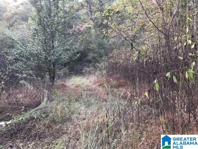 5577 Red Hollow Road, Unit 5 Birmingham, AL 35215 - Photo 6 of 12