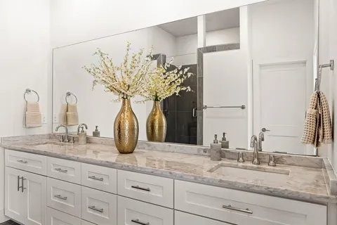a bathroom with a granite countertop sink a potted plant and a mirror