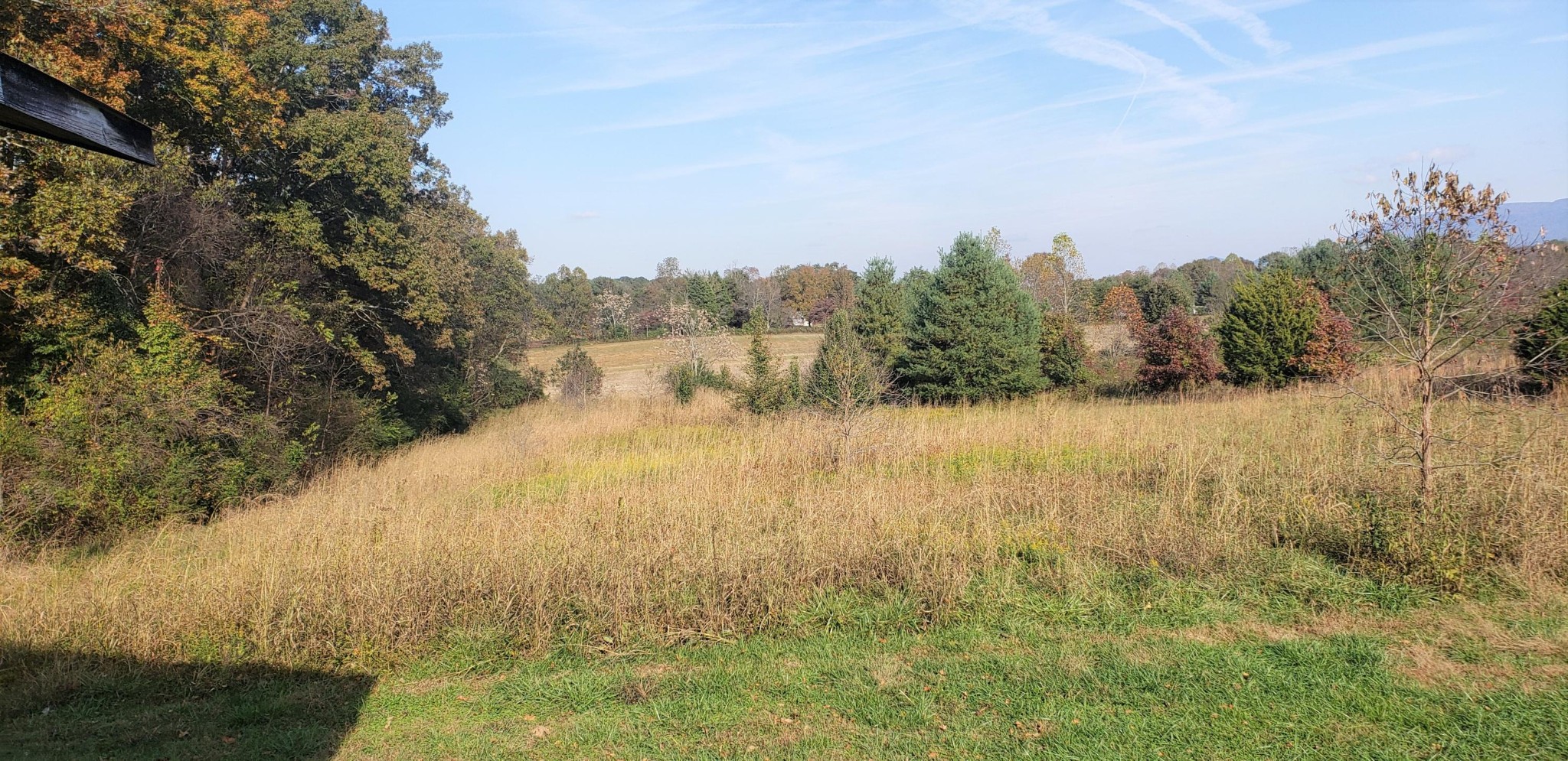 579 Adams Road Walland, TN 37886 - Photo 2 of 4 Gallery Image 2