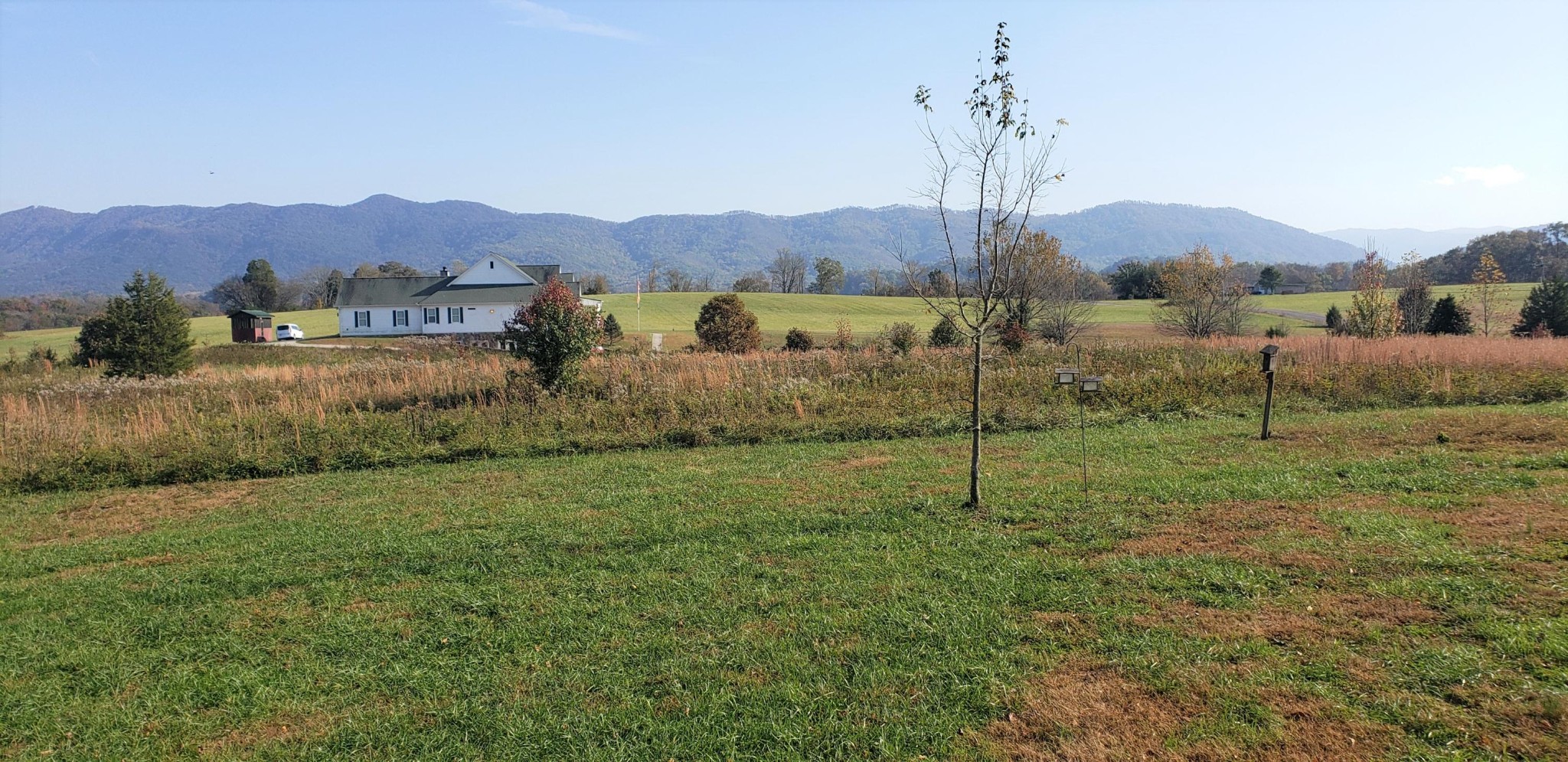 579 Adams Road Walland, TN 37886 - Photo 3 of 4 Gallery Image 3