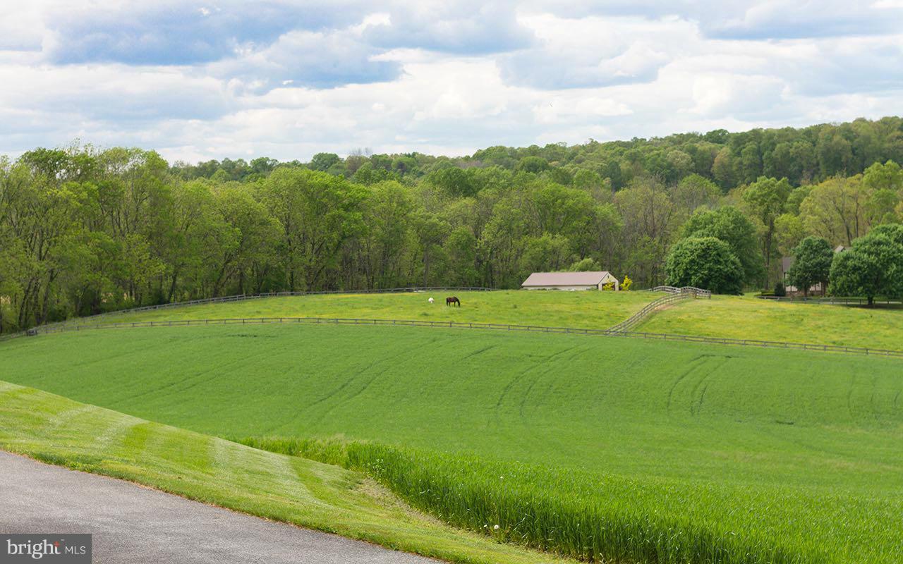 18750 Vernon Road White Hall, MD 21161 - Photo 11 of 30 Private setting with awesome views