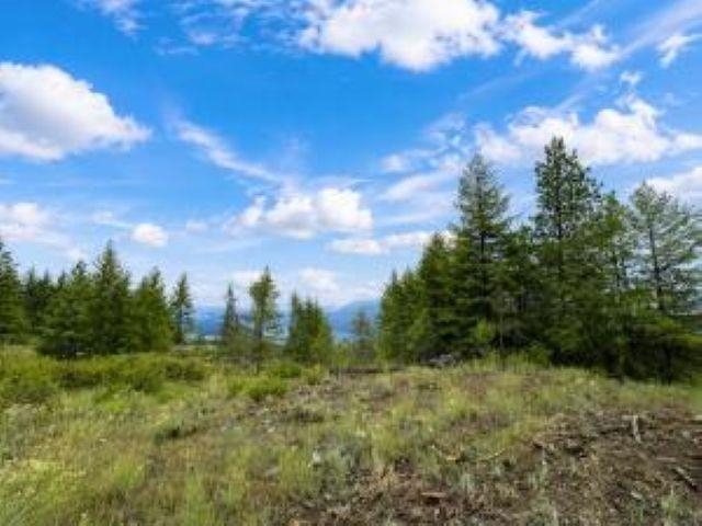 4-xx R 4-xx R Vista View Lane Inchelium, WA 99138 - Photo 6 of 12