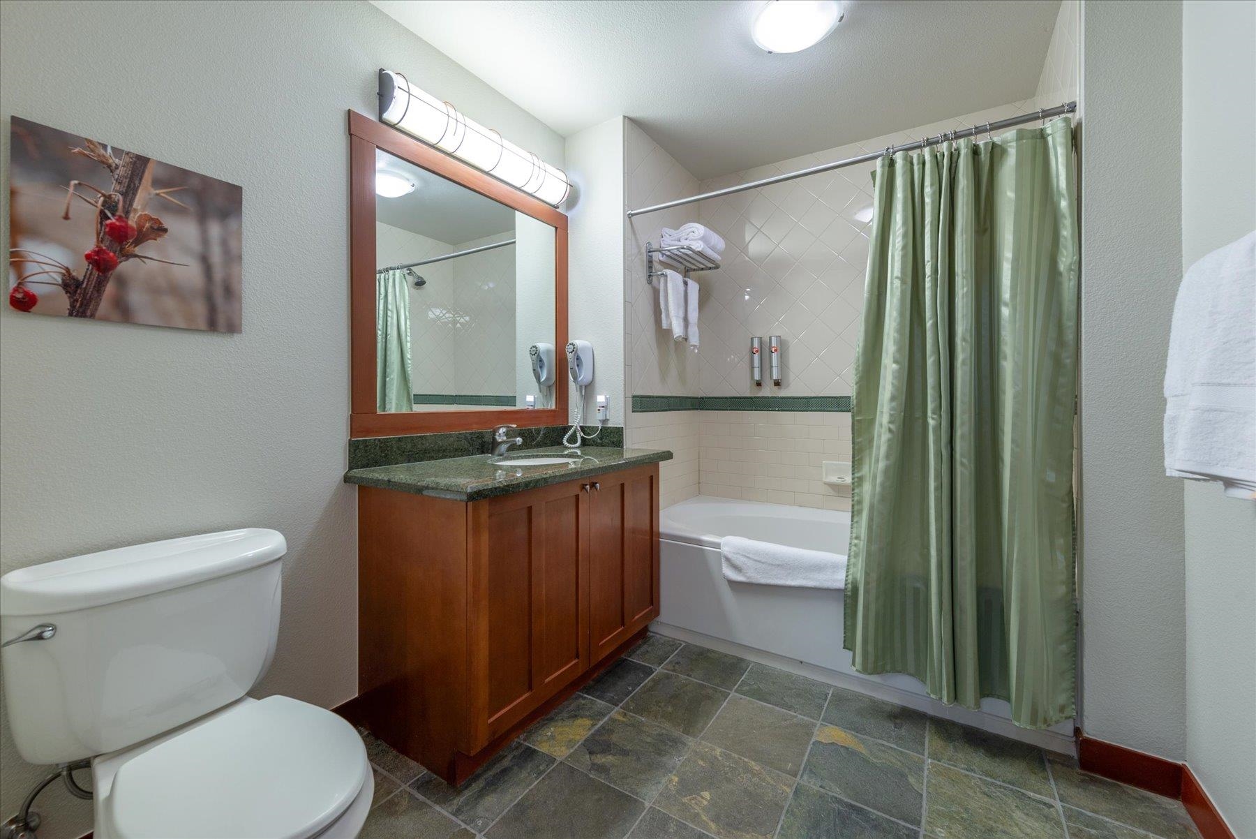 1850 Village South Road, Unit 4213 Olympic Valley, CA 96146 - Photo 10 of 17 a bathroom with a granite countertop toilet a sink and a mirror