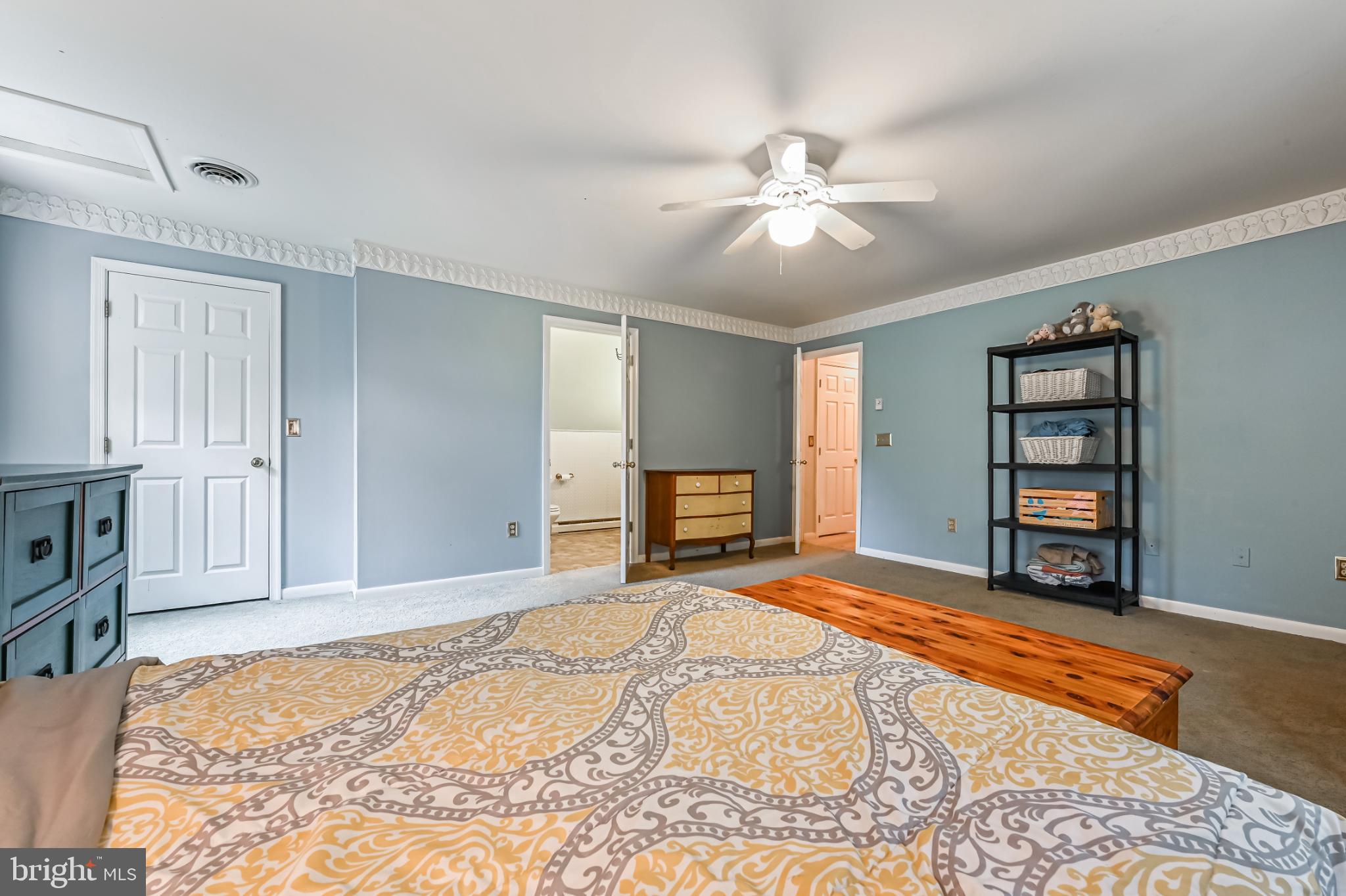 26698 Arcadia Shores Road Easton, MD 21601 - Photo 45 of 71 Spacious bedroom with calming blue tones.