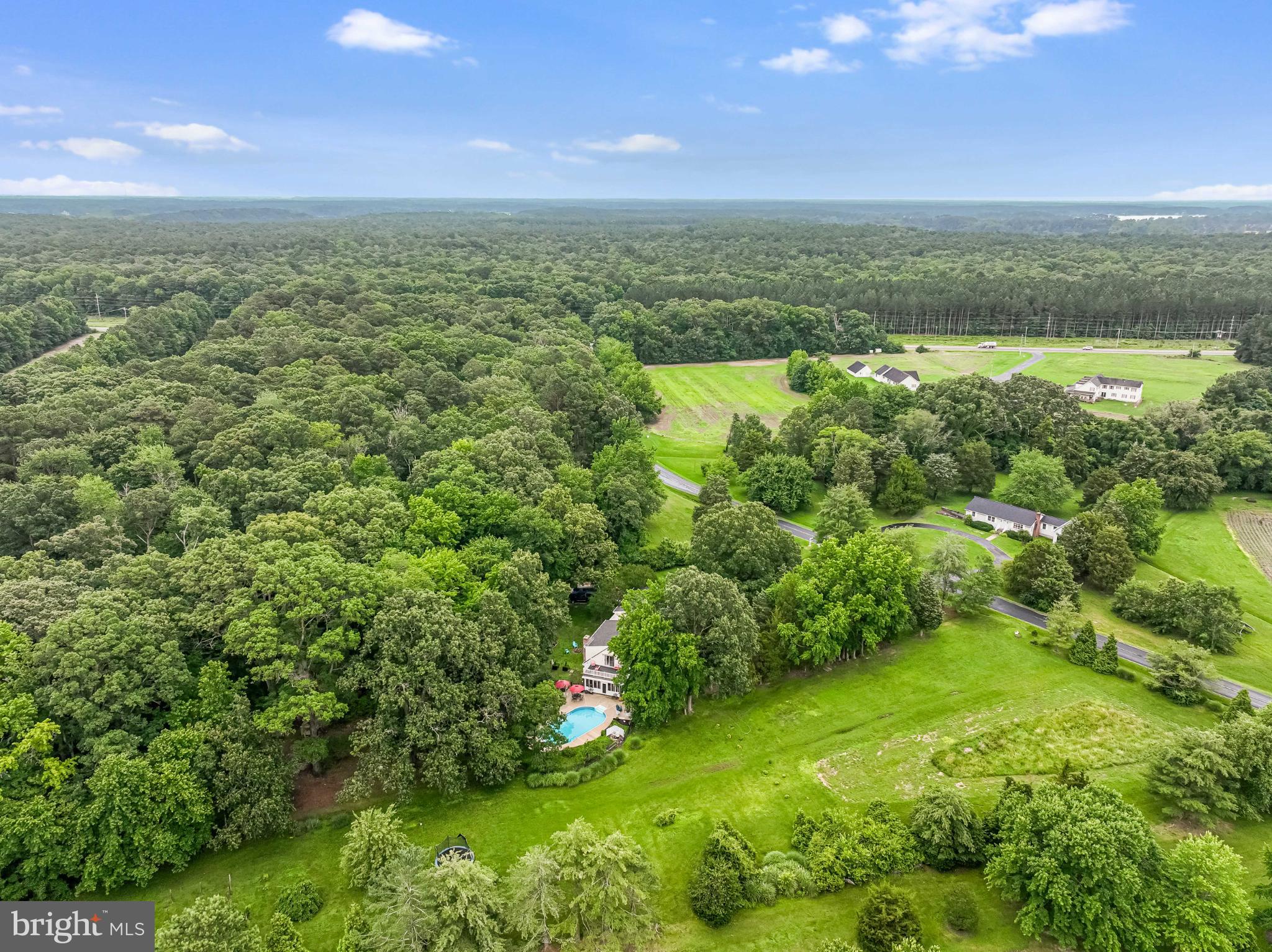 26698 Arcadia Shores Road Easton, MD 21601 - Photo 61 of 71 Lush greenery surrounds a serene retreat.