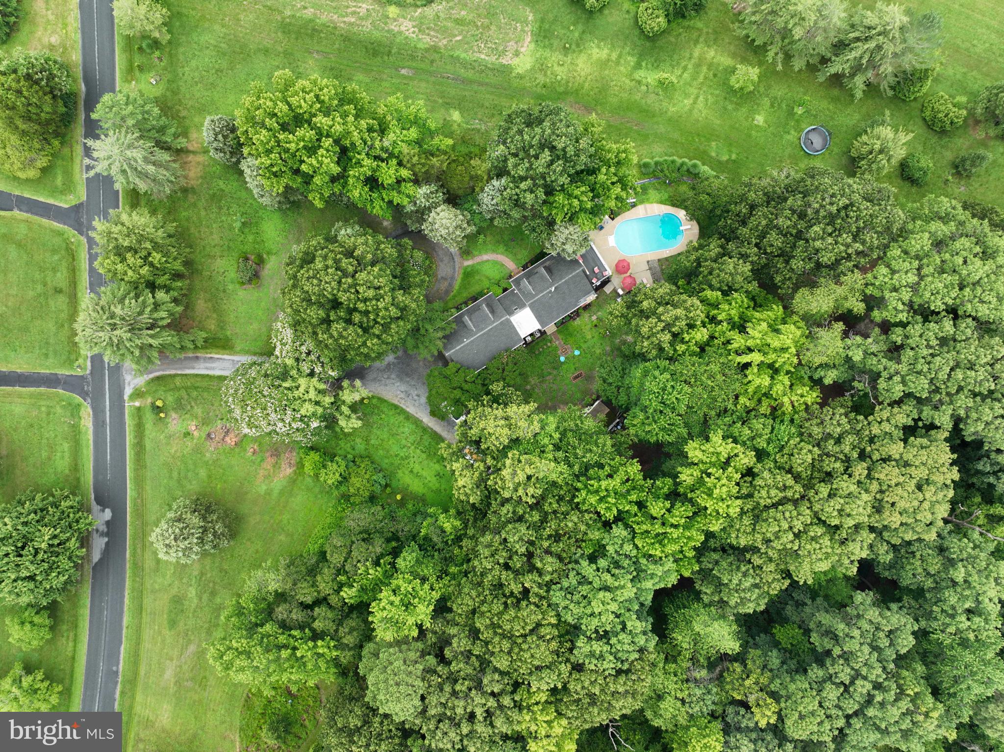 26698 Arcadia Shores Road Easton, MD 21601 - Photo 62 of 71 Lush greenery surrounds a serene backyard oasis.